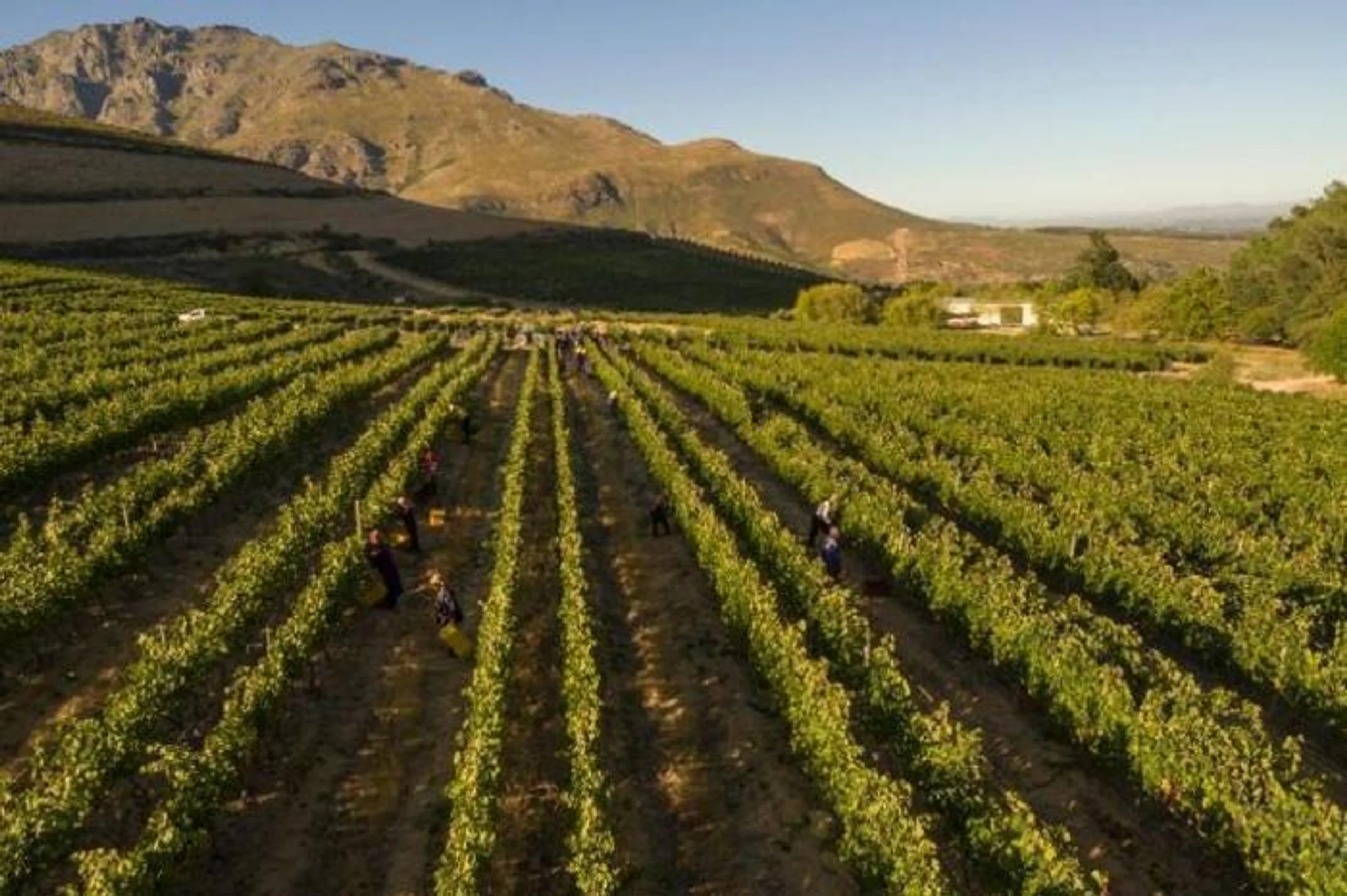  Lanzerac in South Africa / Western Cape, image_2