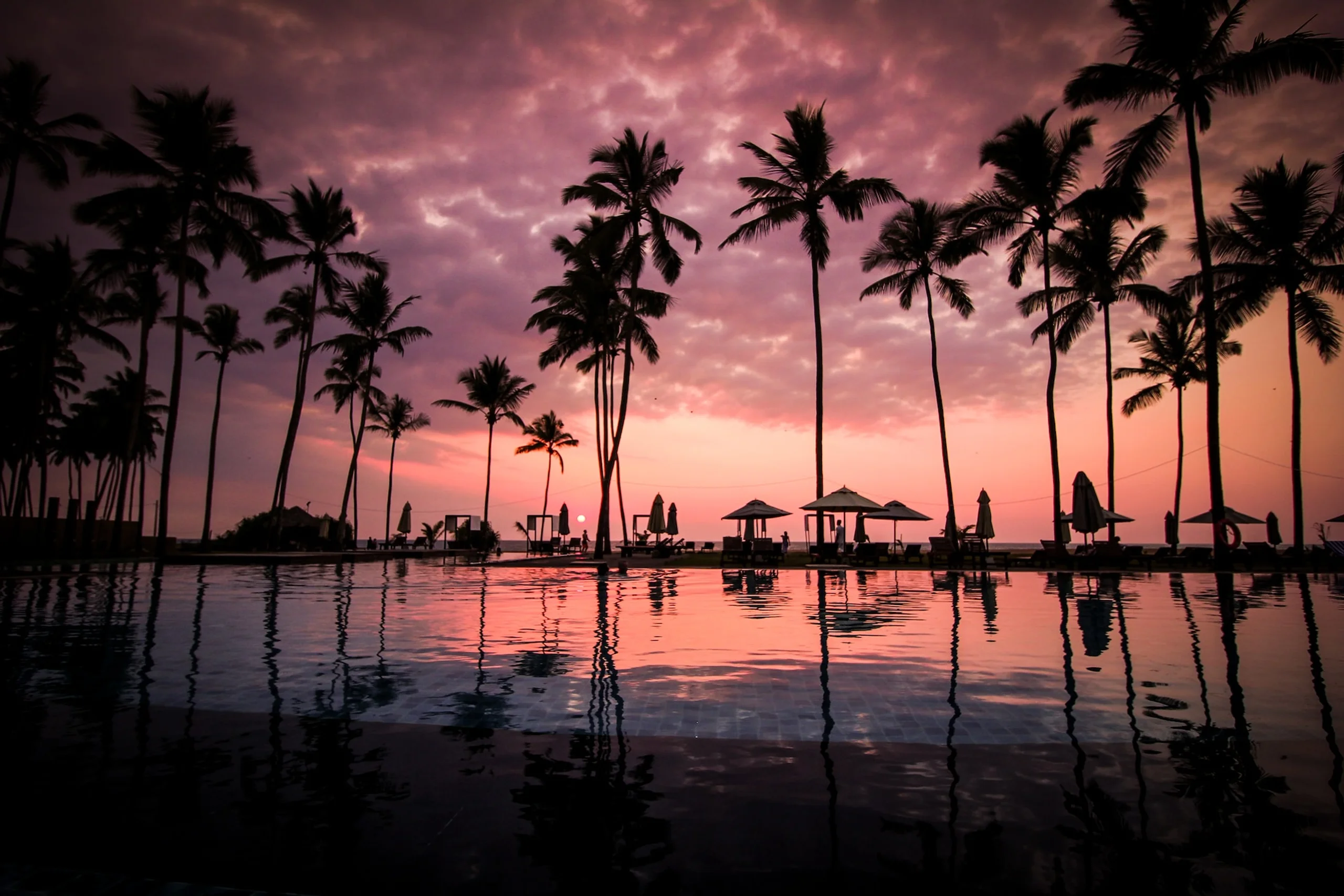 Palm trees and pool water with pink and purple sunset