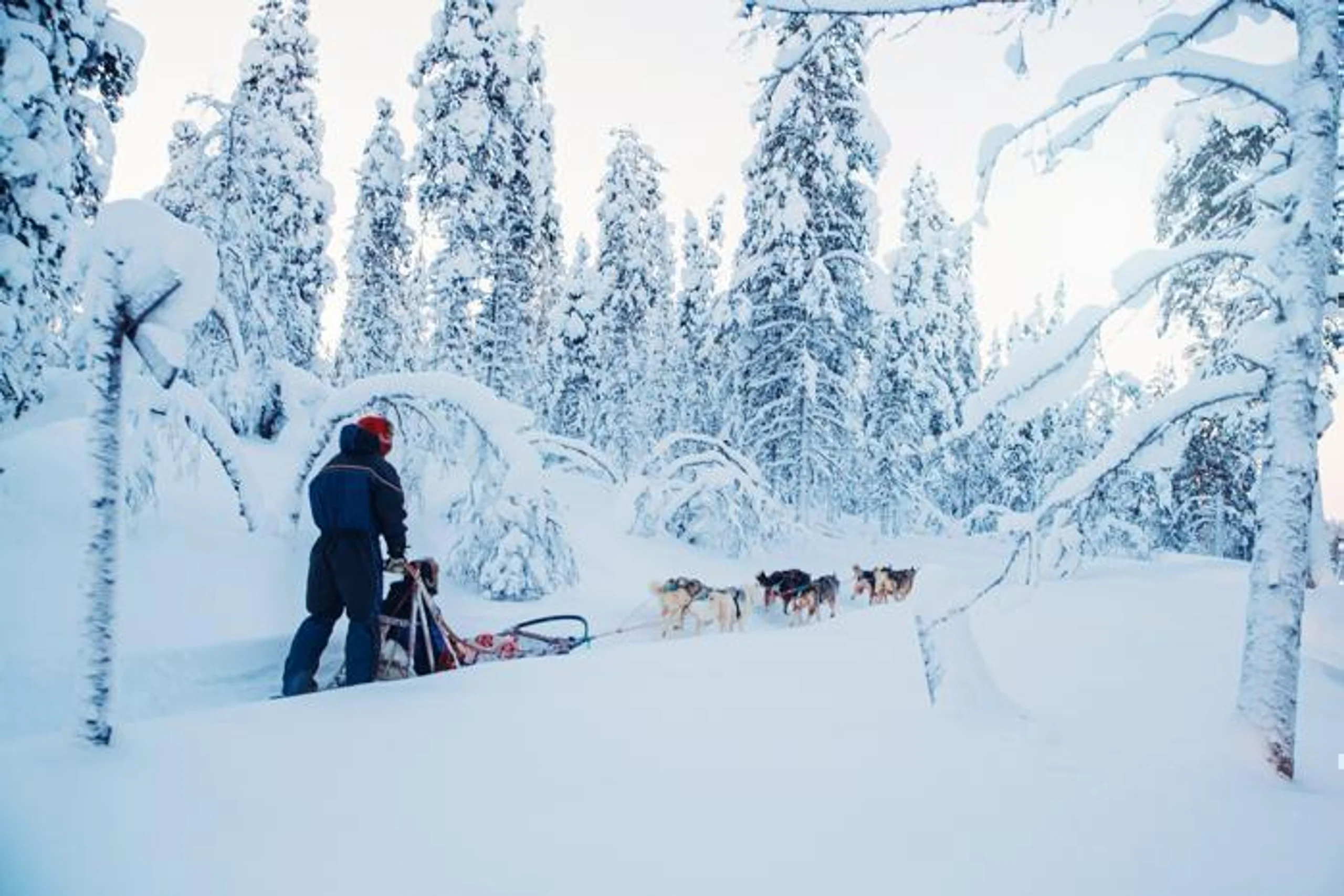Kakslauttanen Arctic Resort, Lapland in Europe / Finland, image_3