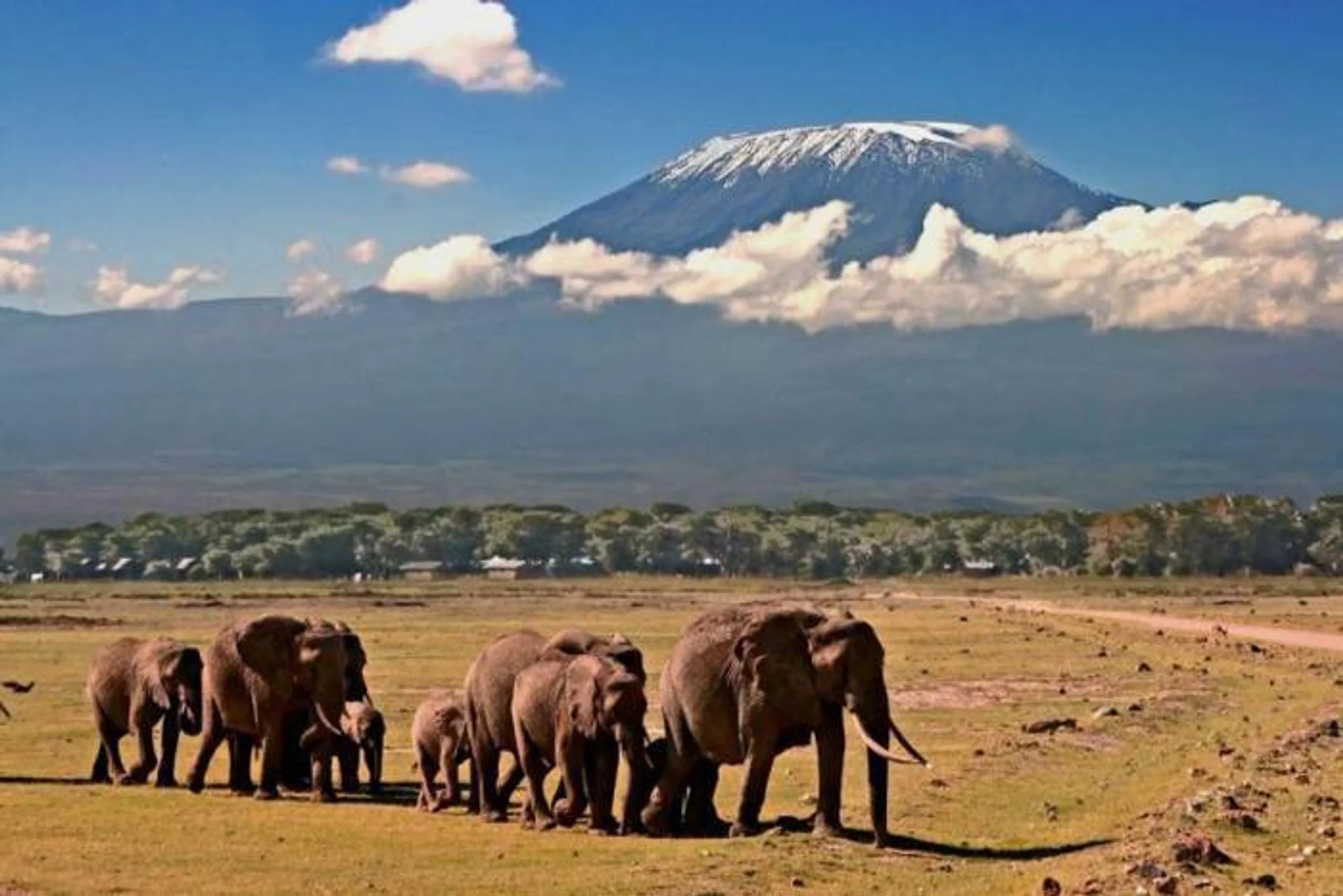 6 Days Kili Safari in Africa / Kenya, image_1
