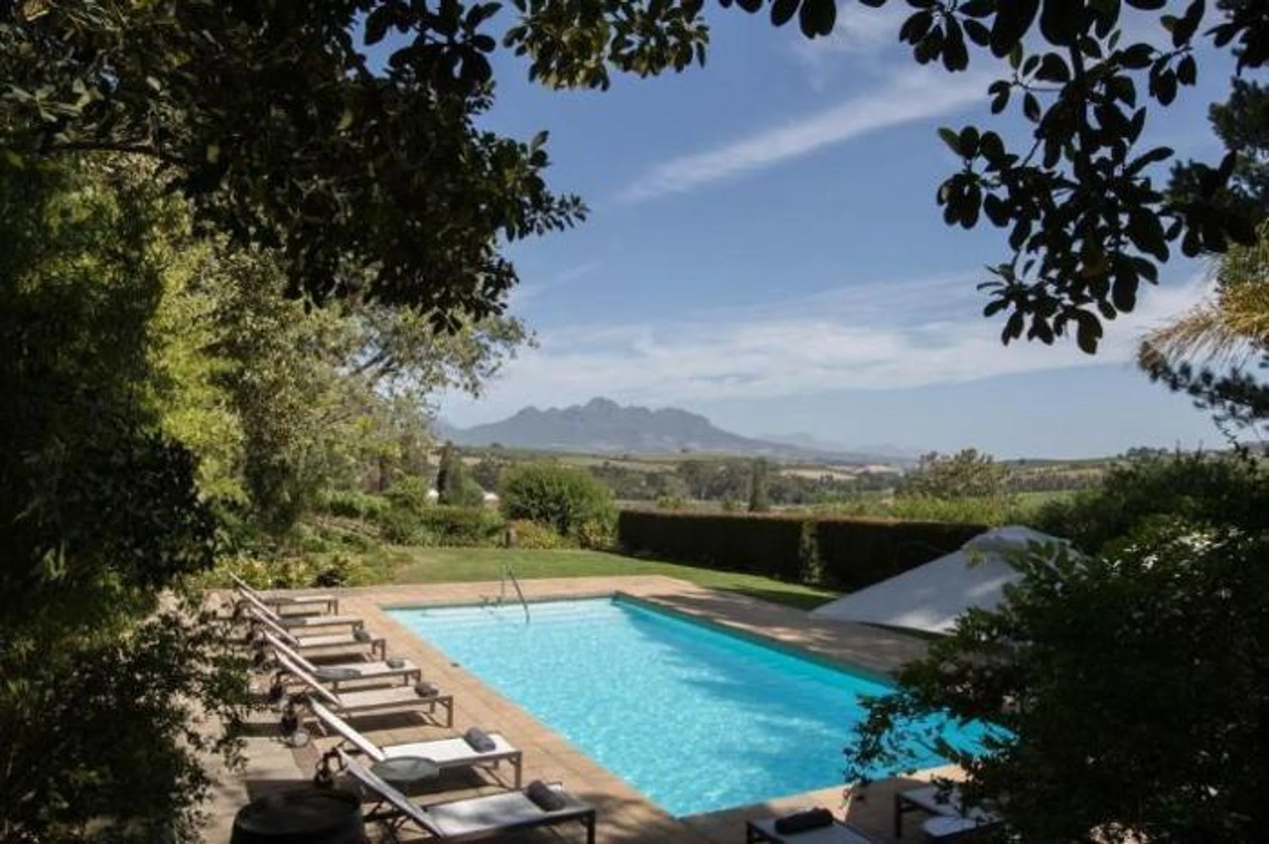  Devon Valley Hotel in South Africa / Cape Winelands, image_3
