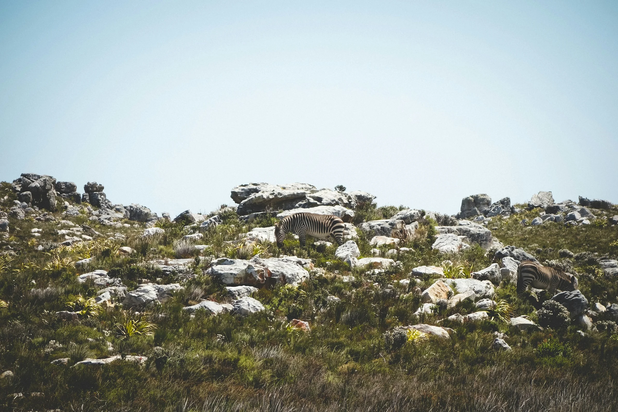 Photo by Stephanie Braconnier on Unsplash