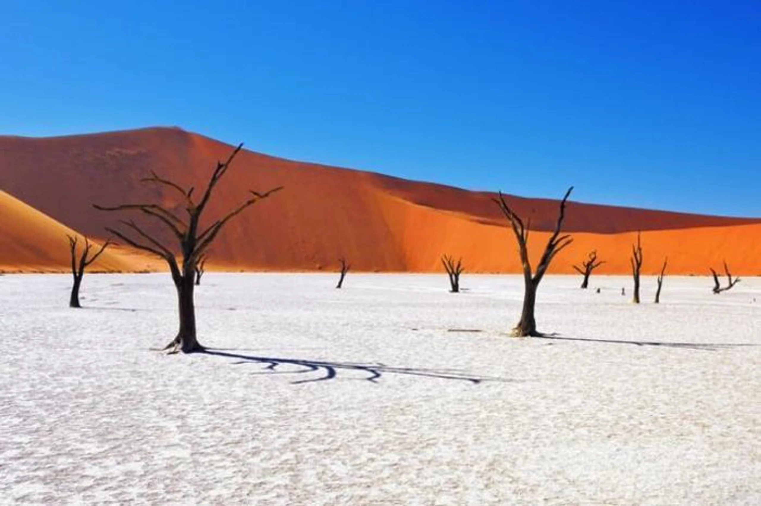 Desert and Canyon Explorer Package (6 Nights) in Africa / Namibia, image_2
