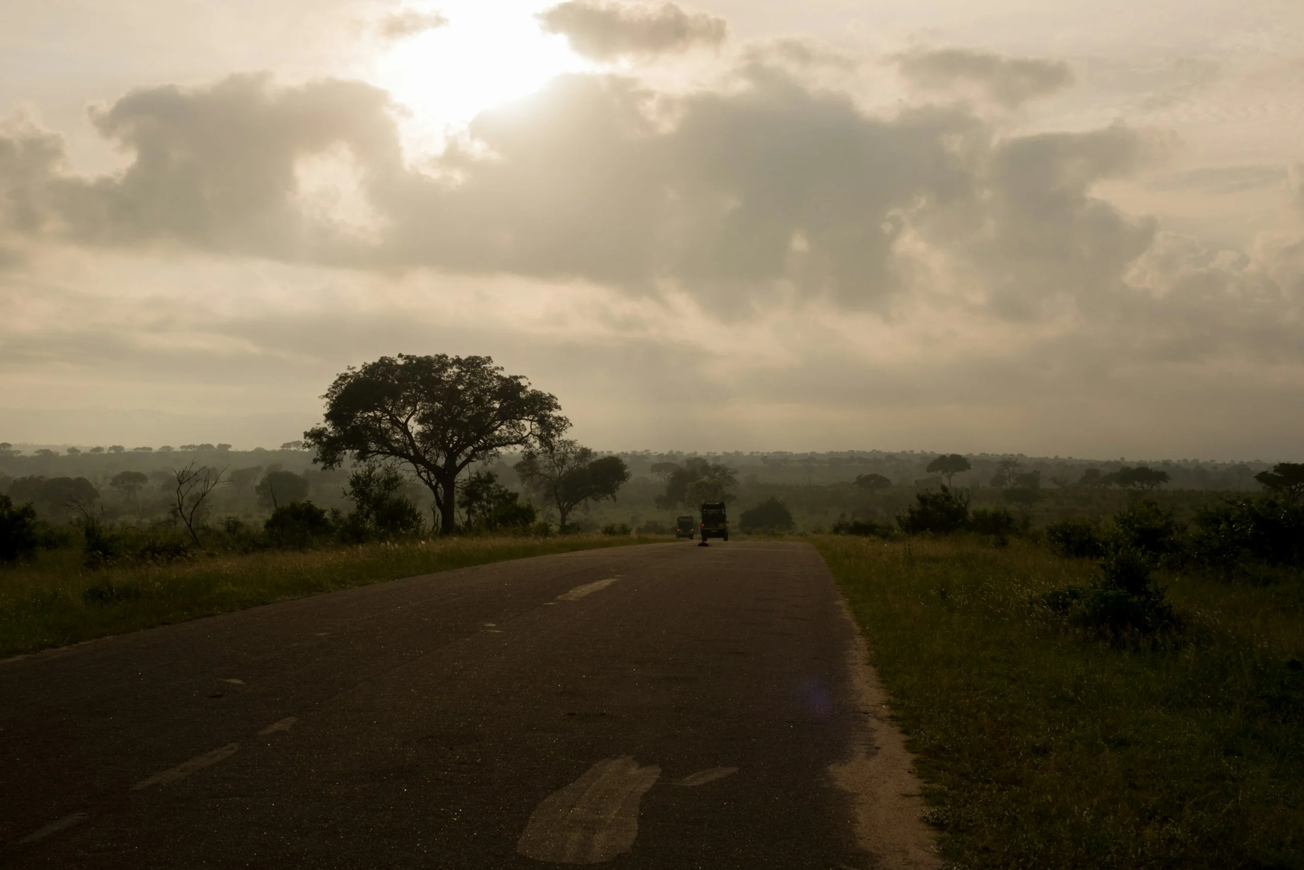 Photo by Ante Hamersmit on Unsplash