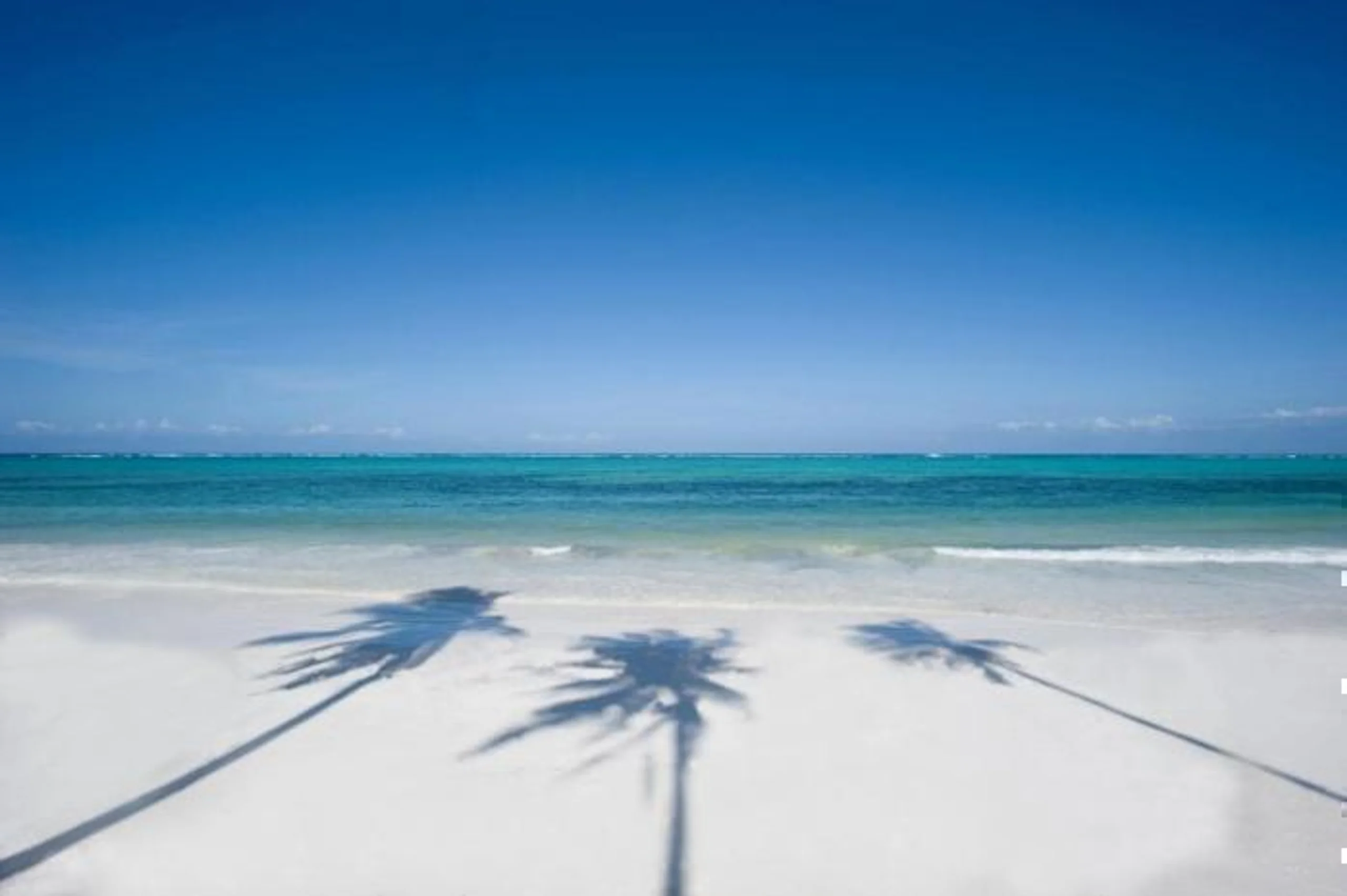  Baraza Resort & Spa Zanzibar Package (7 Nights) in IOI / Zanzibar, image_1