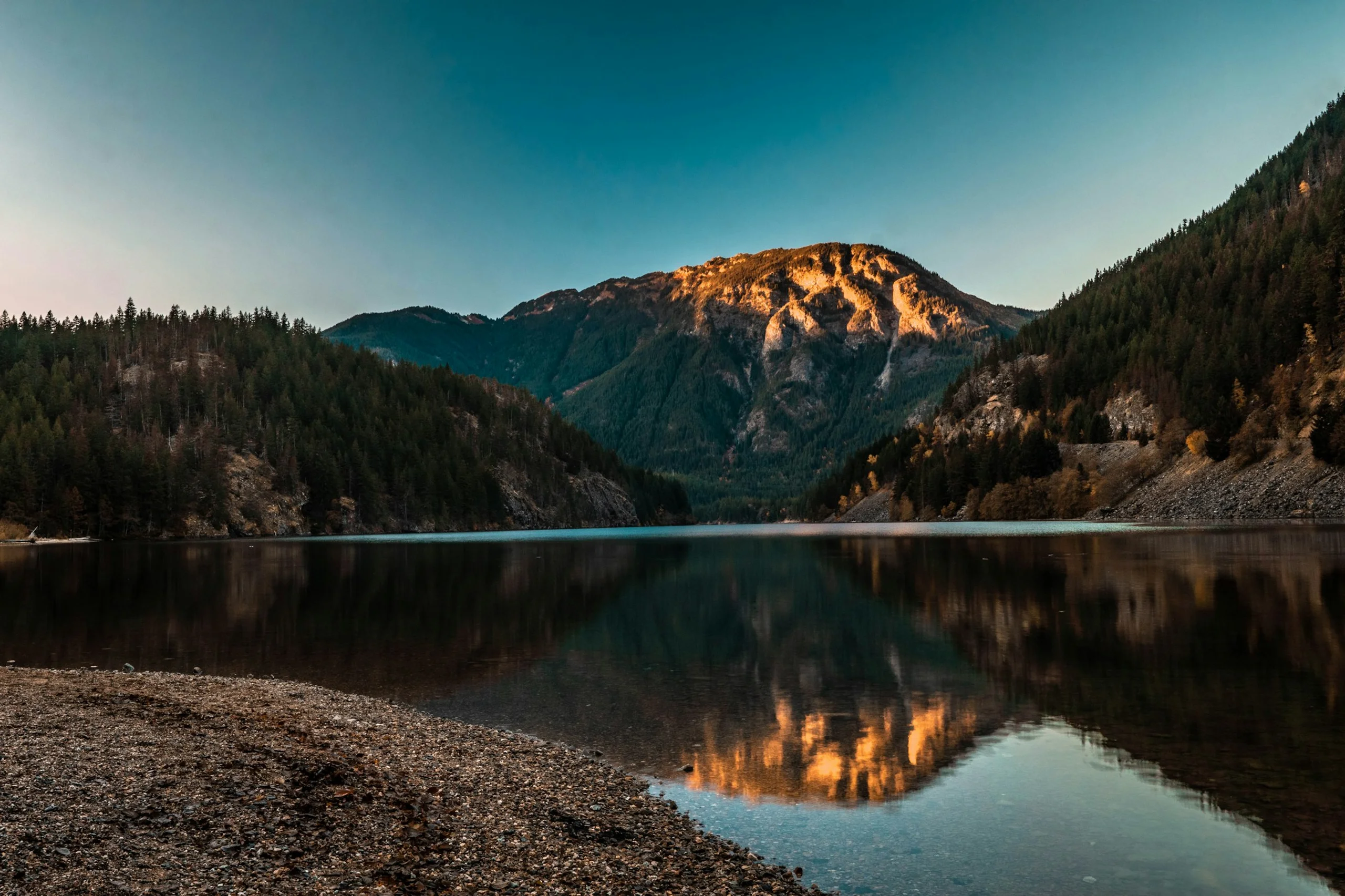 Photo by Zane Bolen on Unsplash