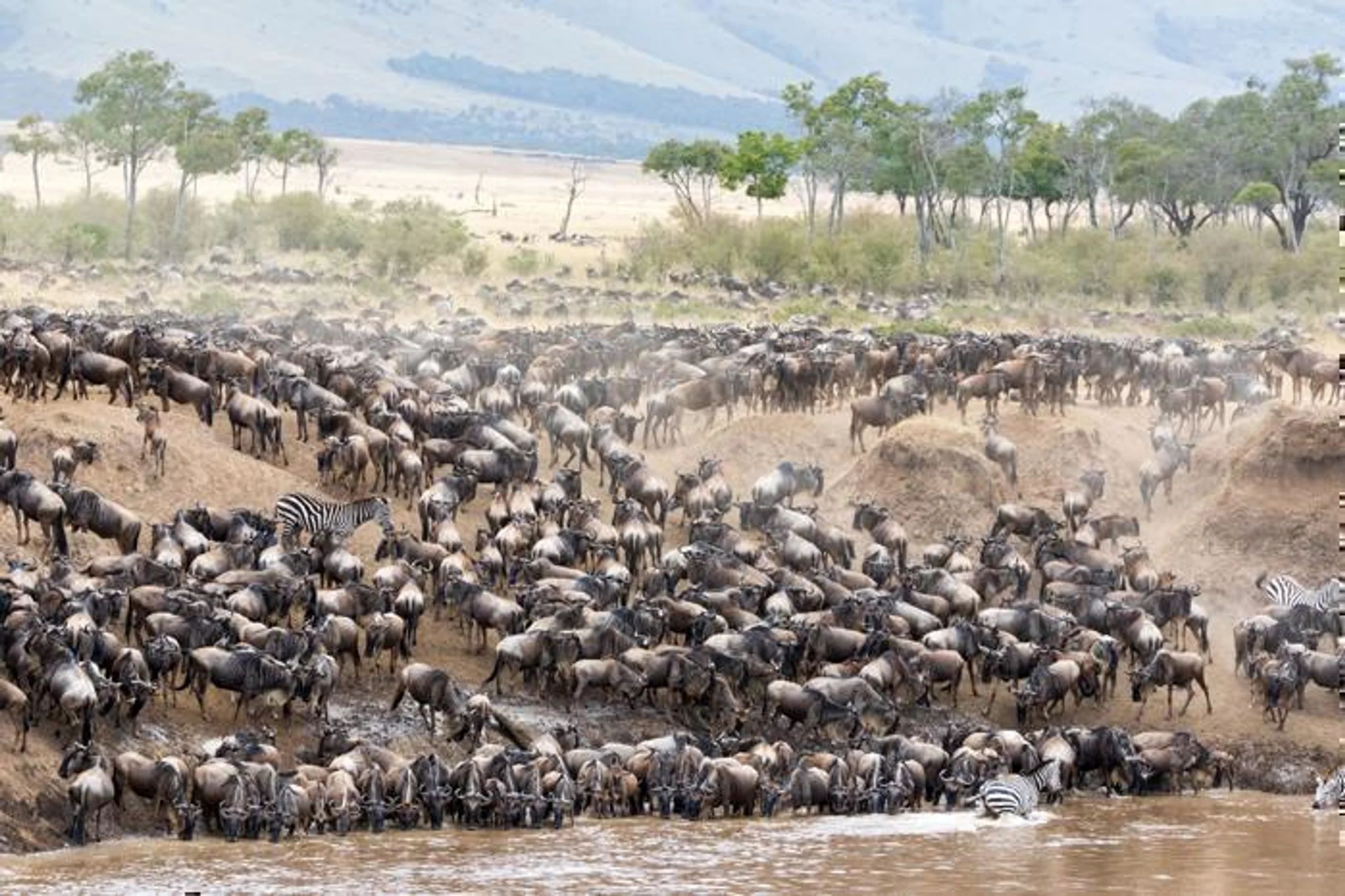 6 Days Northern Safari Circuit in Africa / Tanzania, image_3