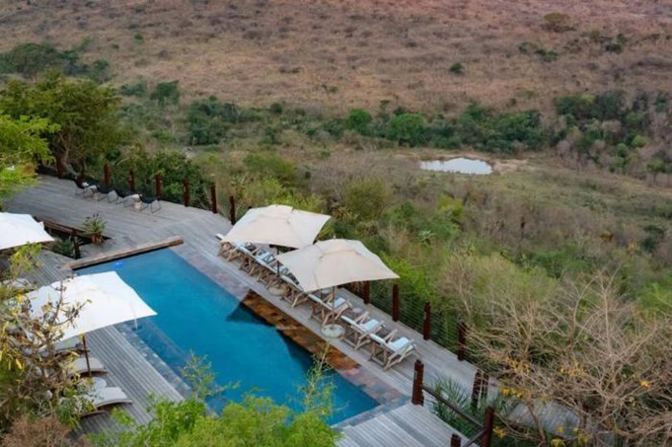  Rhino Ridge Safari Lodge in South Africa / KwaZulu-Natal, image_3