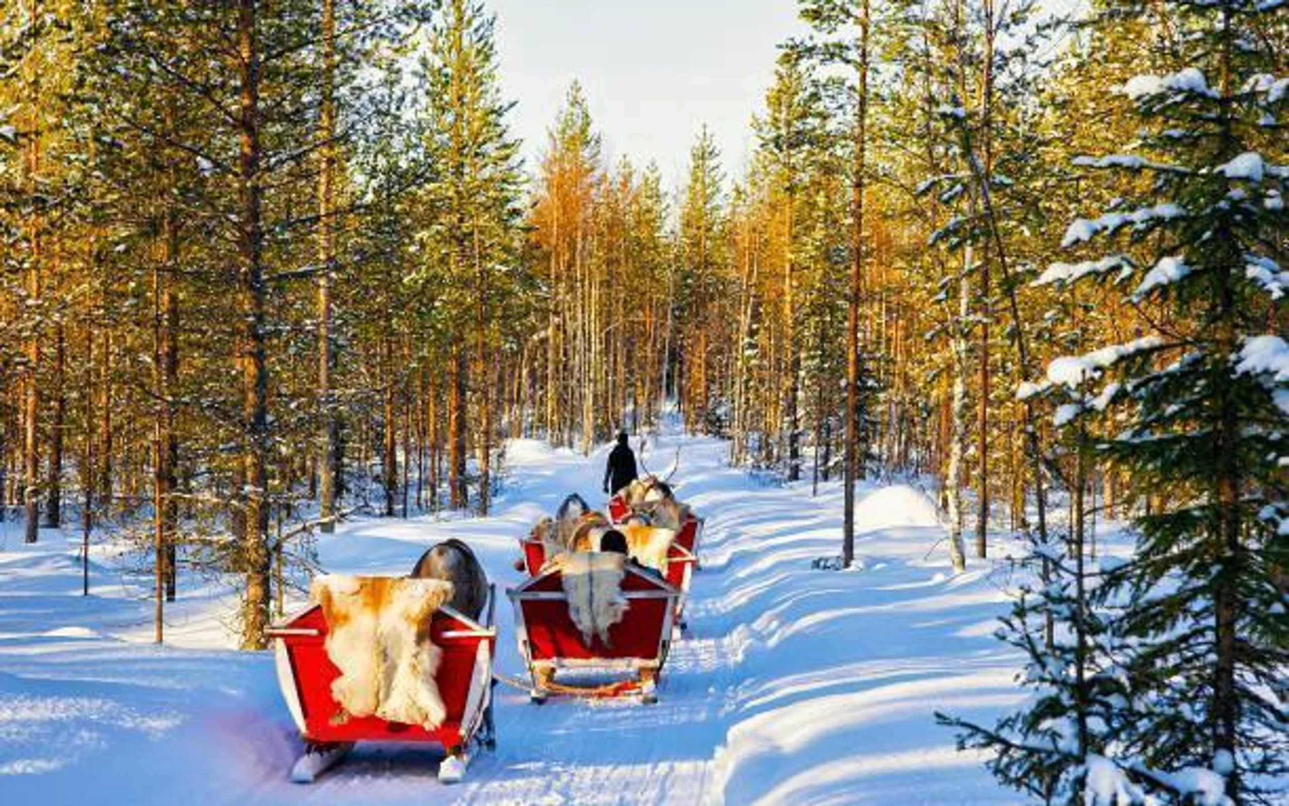 Rovaniemi in Europe / Finland, image_1