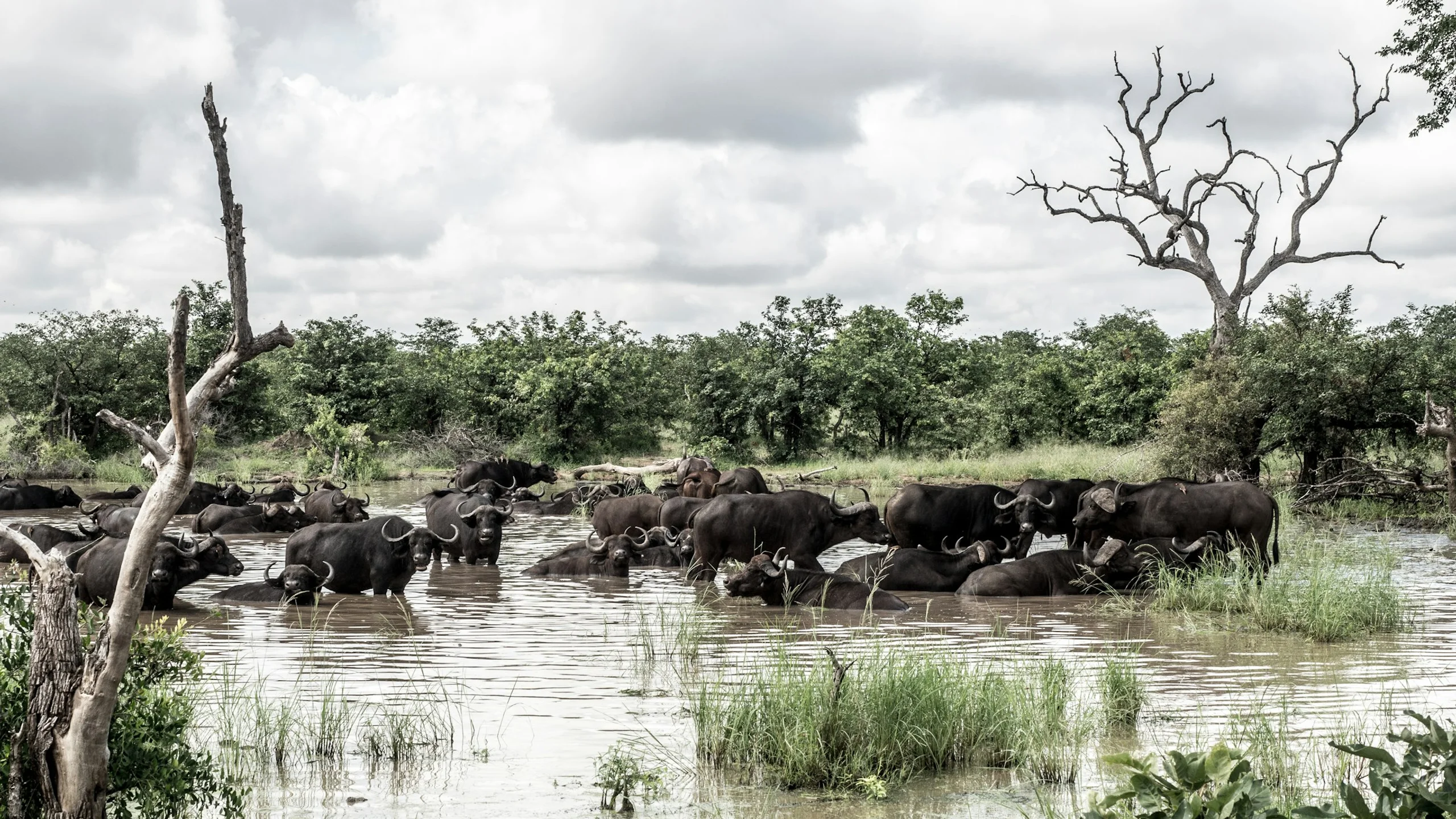 Photo by Ante Hamersmit on Unsplash