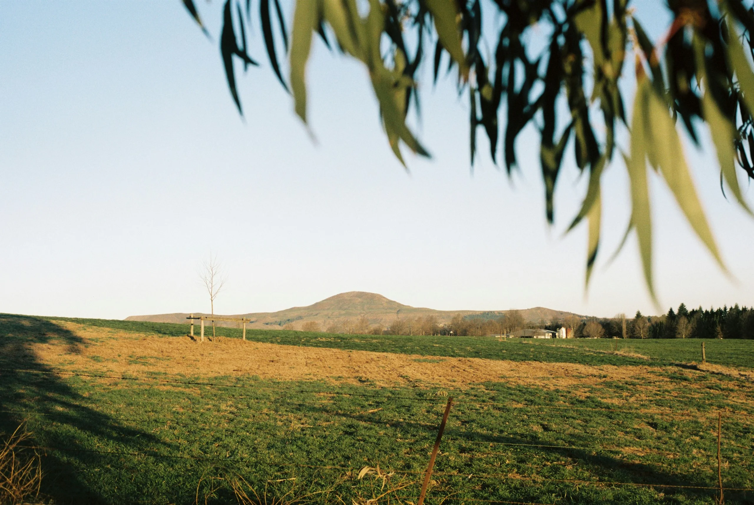 Photo by Daniel Way on Unsplash