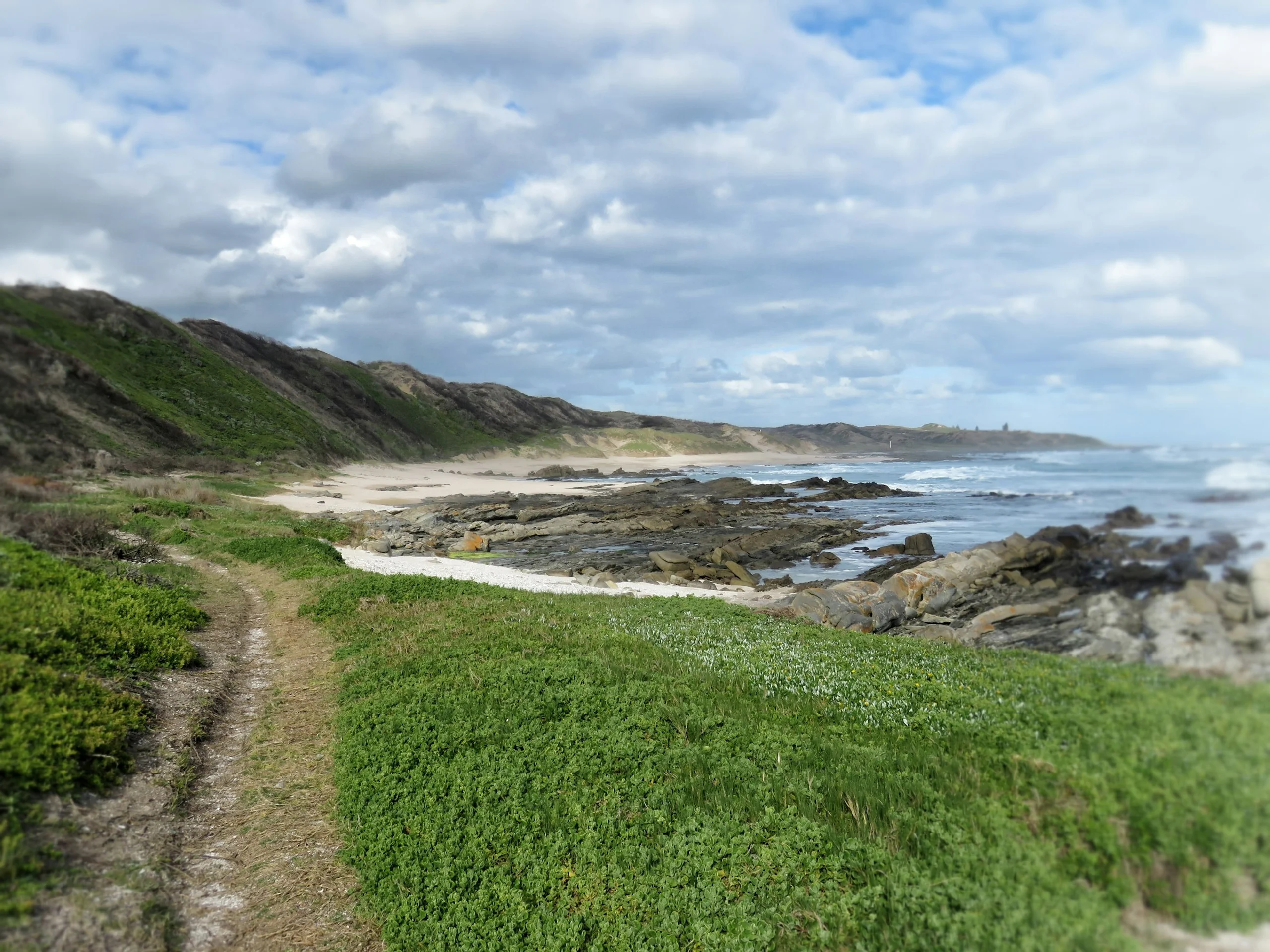 Photo by Anika De Klerk on Unsplash