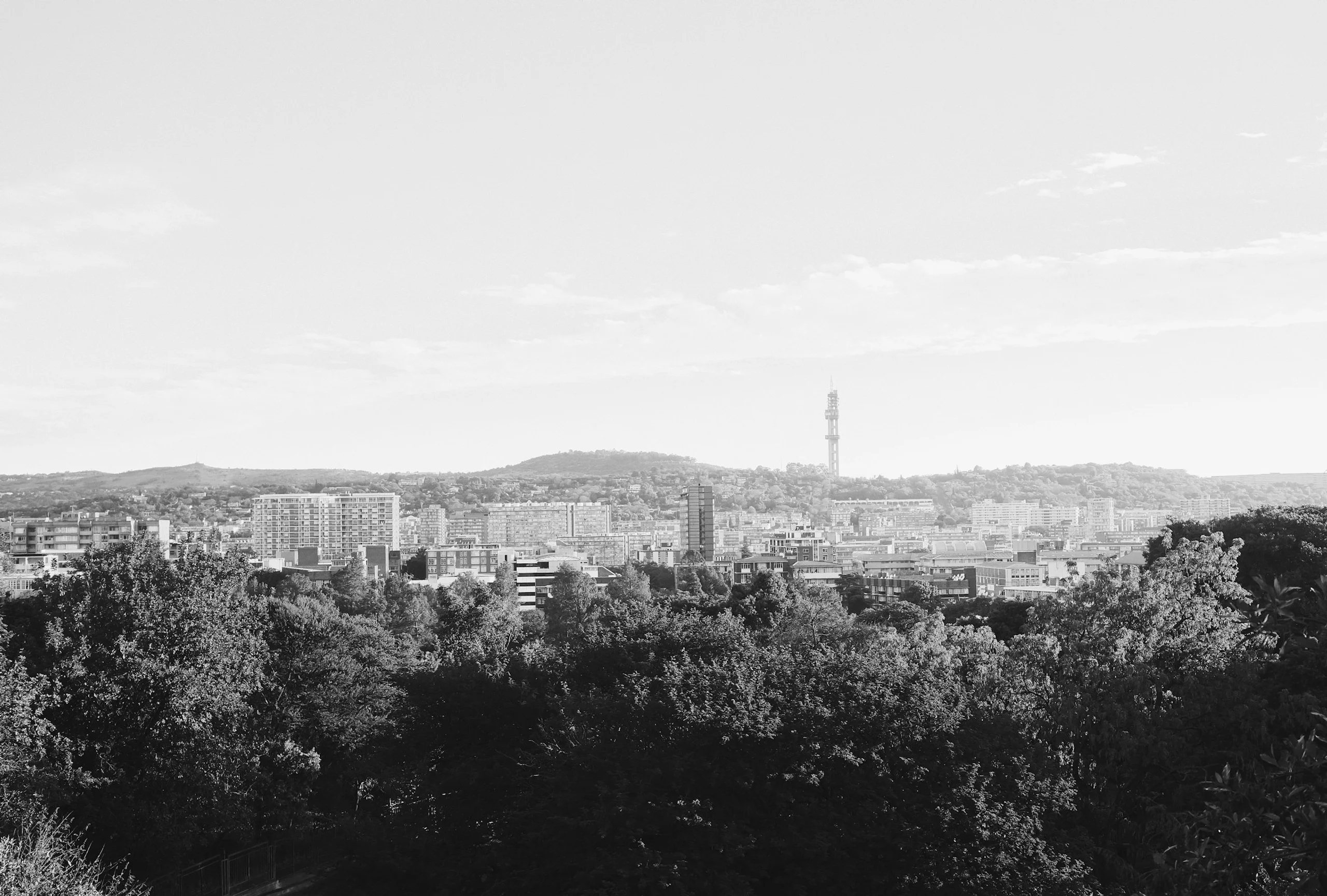 Photo by Sipho Ndebele on Unsplash