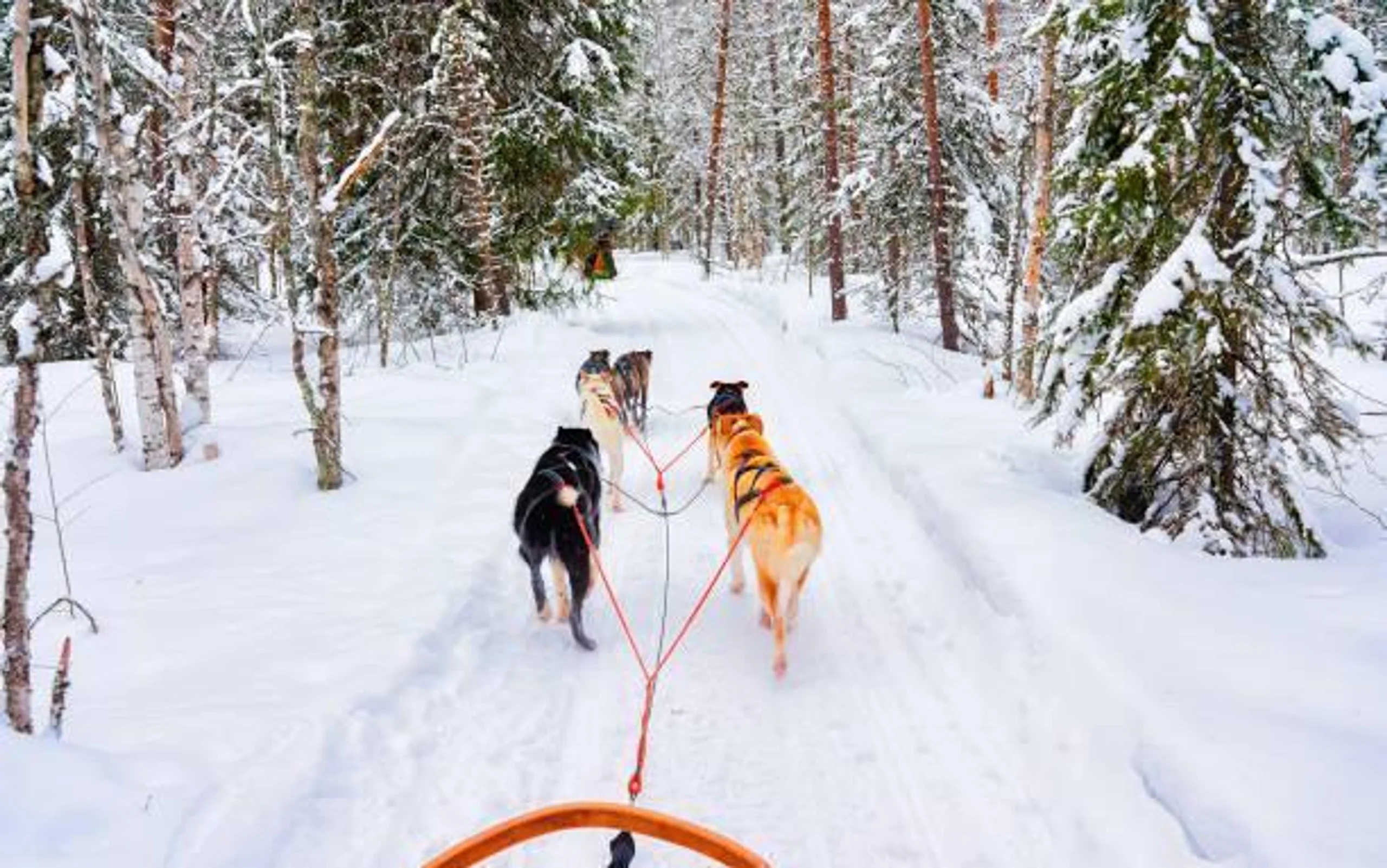 Rovaniemi in Europe / Finland, image_2