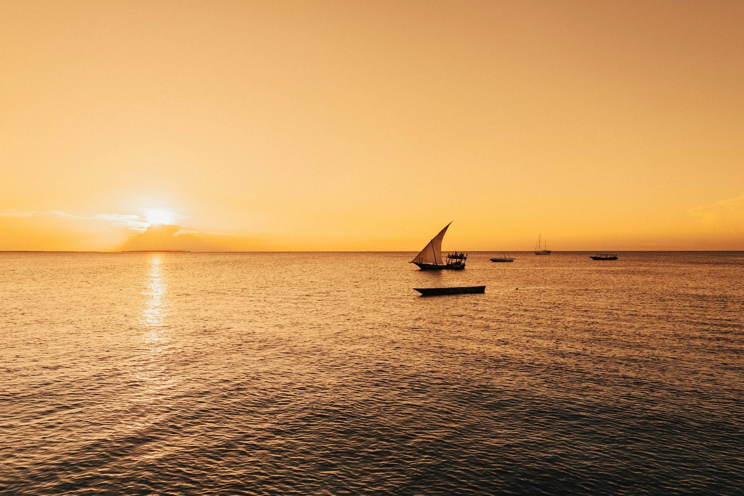 Dhow sailing across the ocean at sunset in Zanzibar