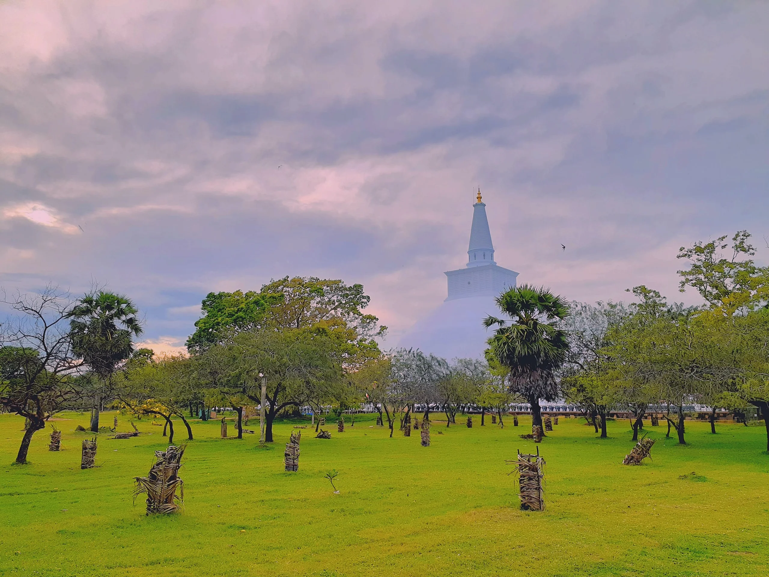 Green grass and trees in front of Ruwanwelisaya in Sri Lanka, with hazy purple sky