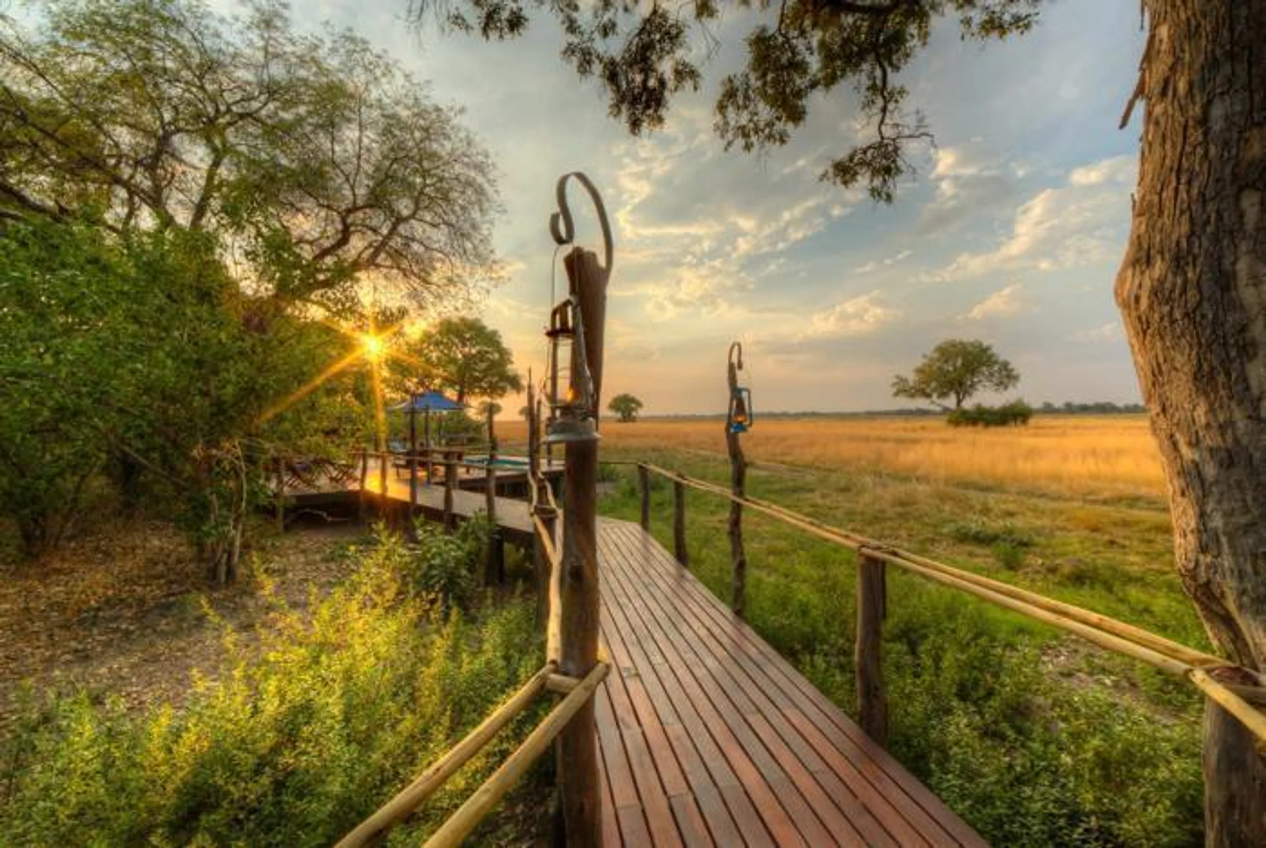 Kadizora Camp in Africa / Botswana, image_1
