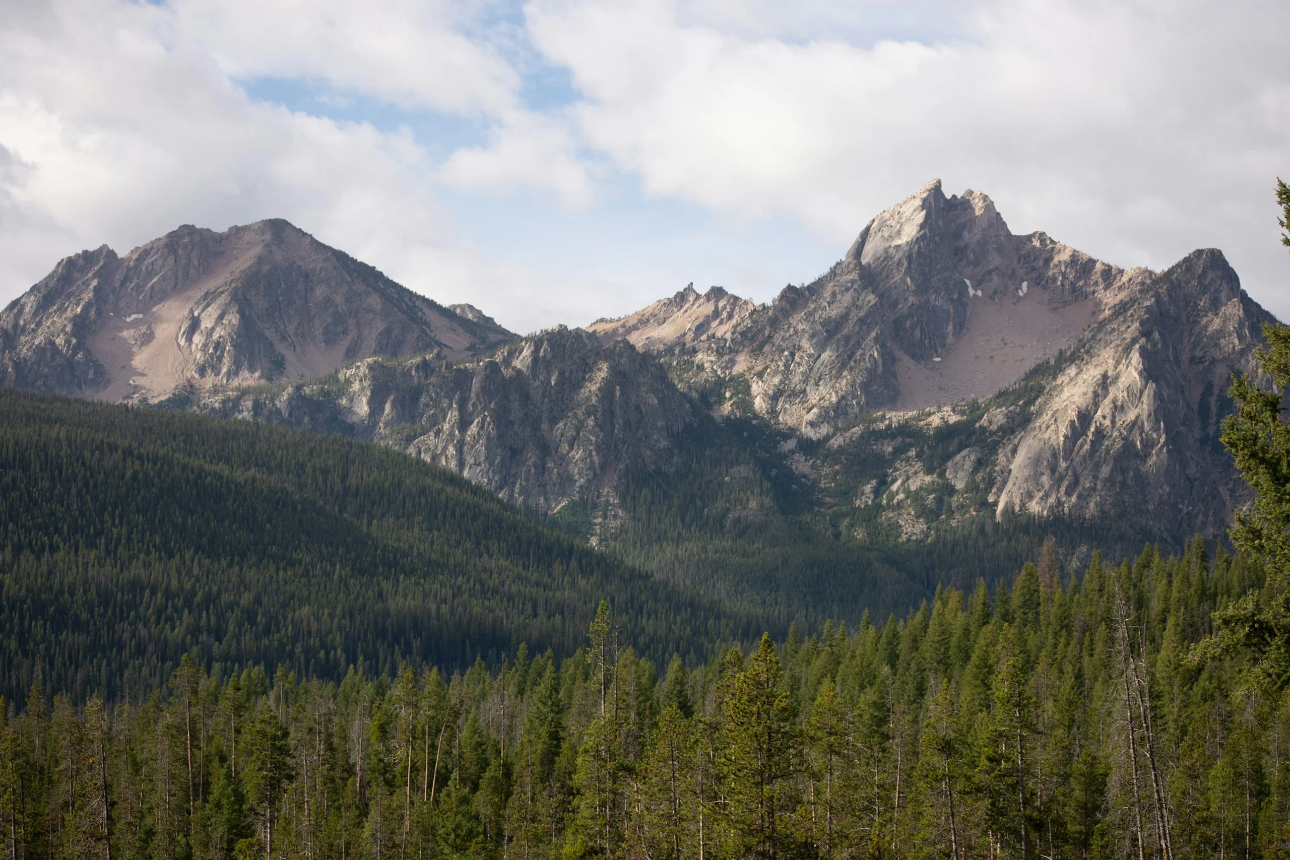 Photo by Alex Moliski on Unsplash