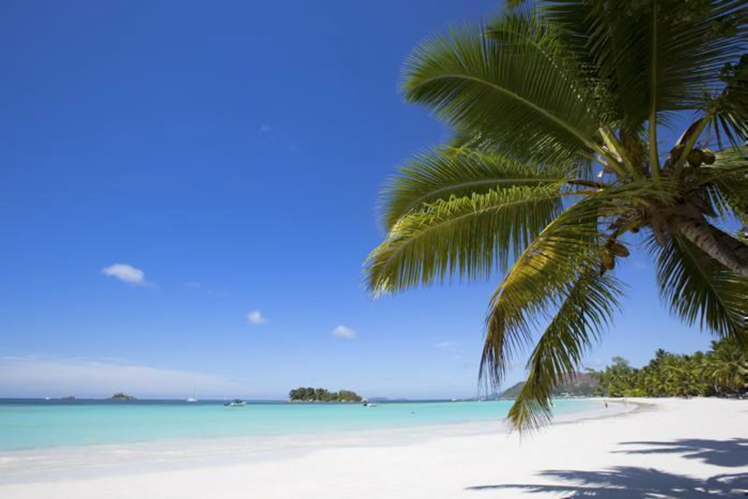  Paradise Sun Hotel in IOI / Seychelles, image_1