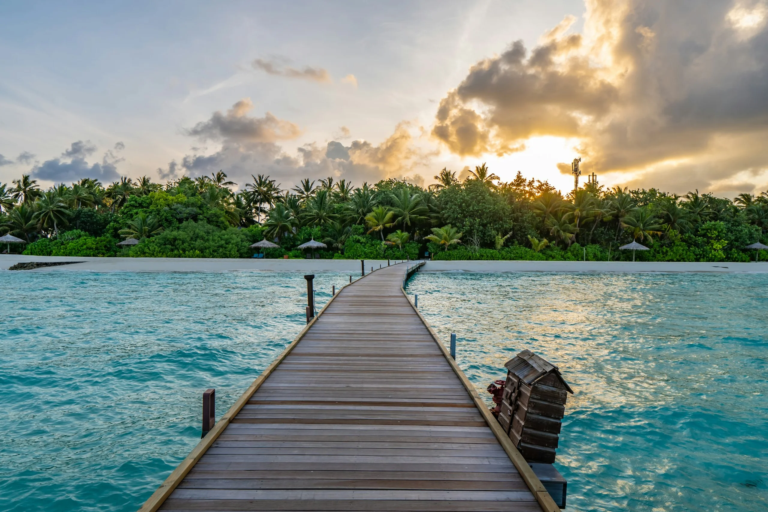 Photo by Shai Pal on Unsplash
