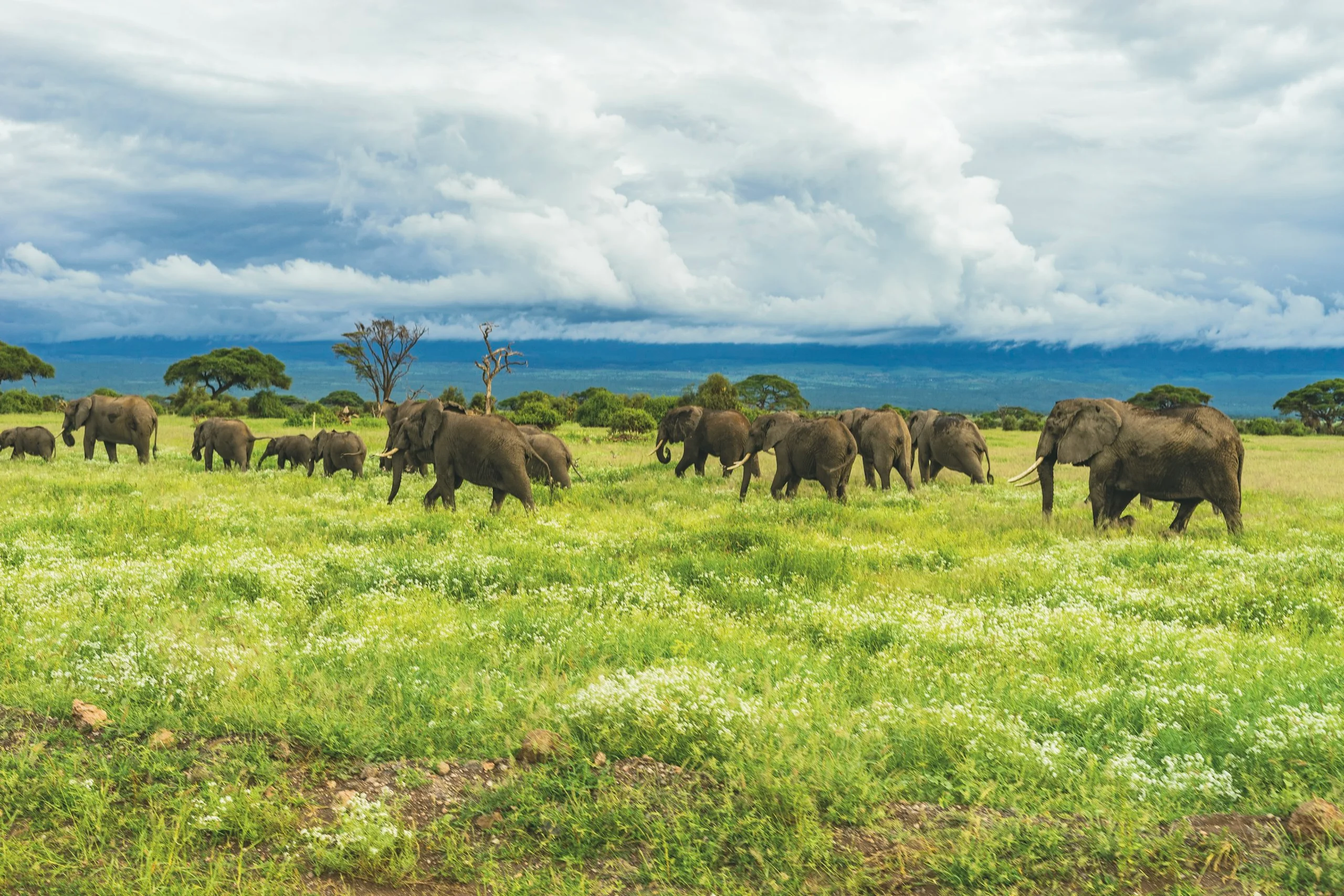 Photo by Matt Cramblett on Unsplash