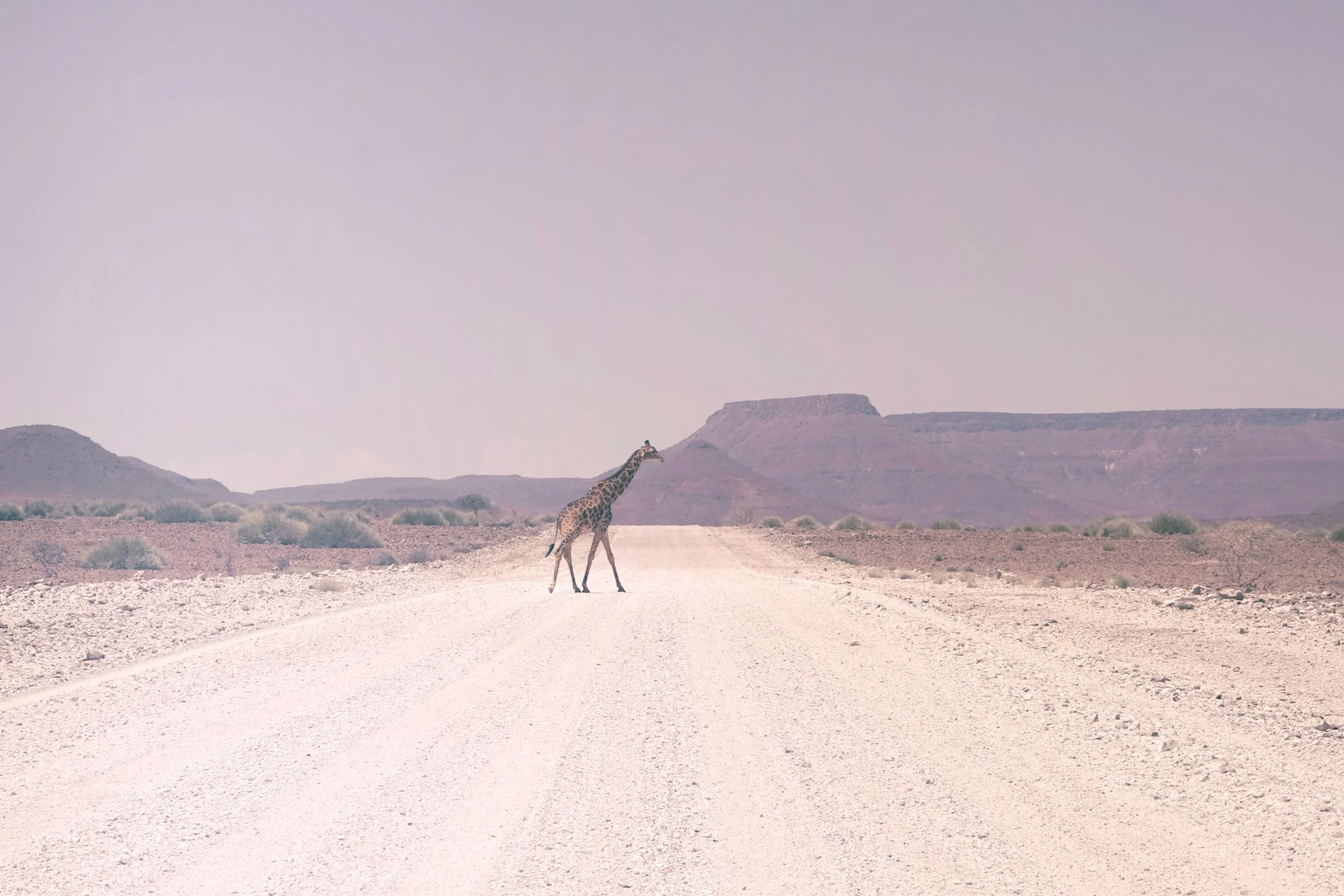 Photo by Jonatan Pie on Unsplash
