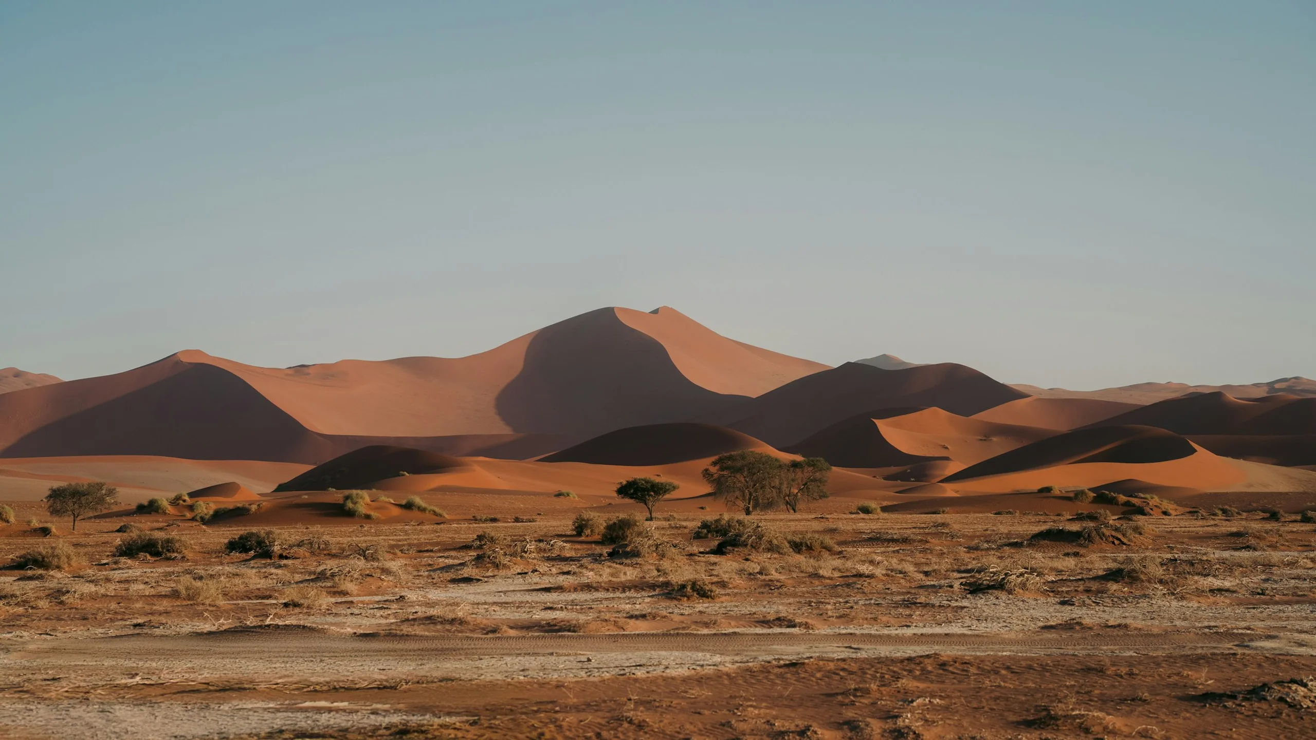 Photo by NIR HIMI on Unsplash