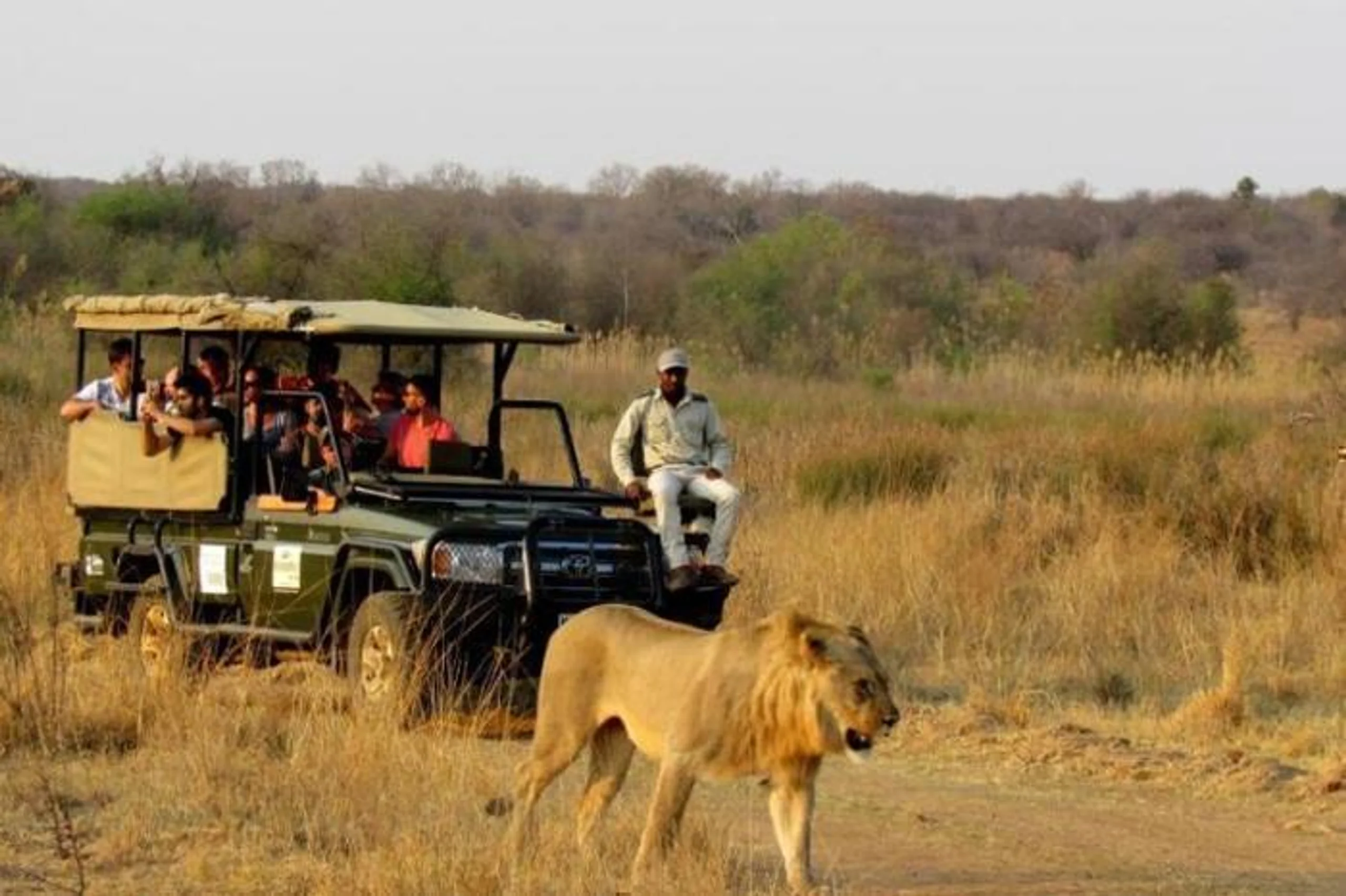  Mongena Private Game Lodge in South Africa / Gauteng, image_3