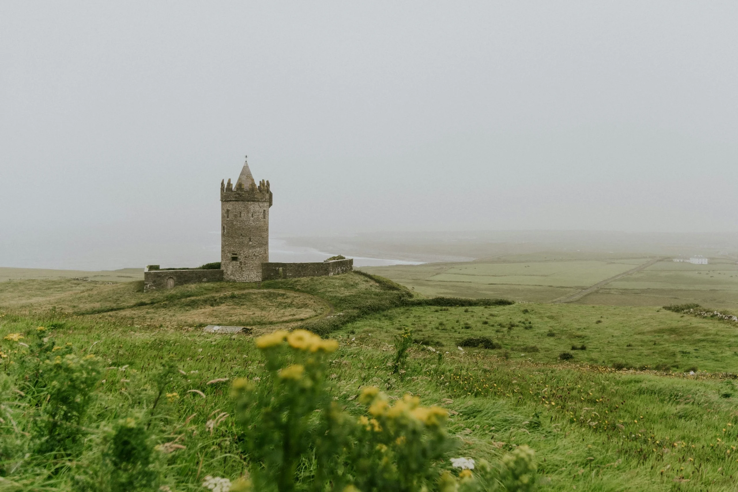 Photo by Aldo De La Paz on Unsplash