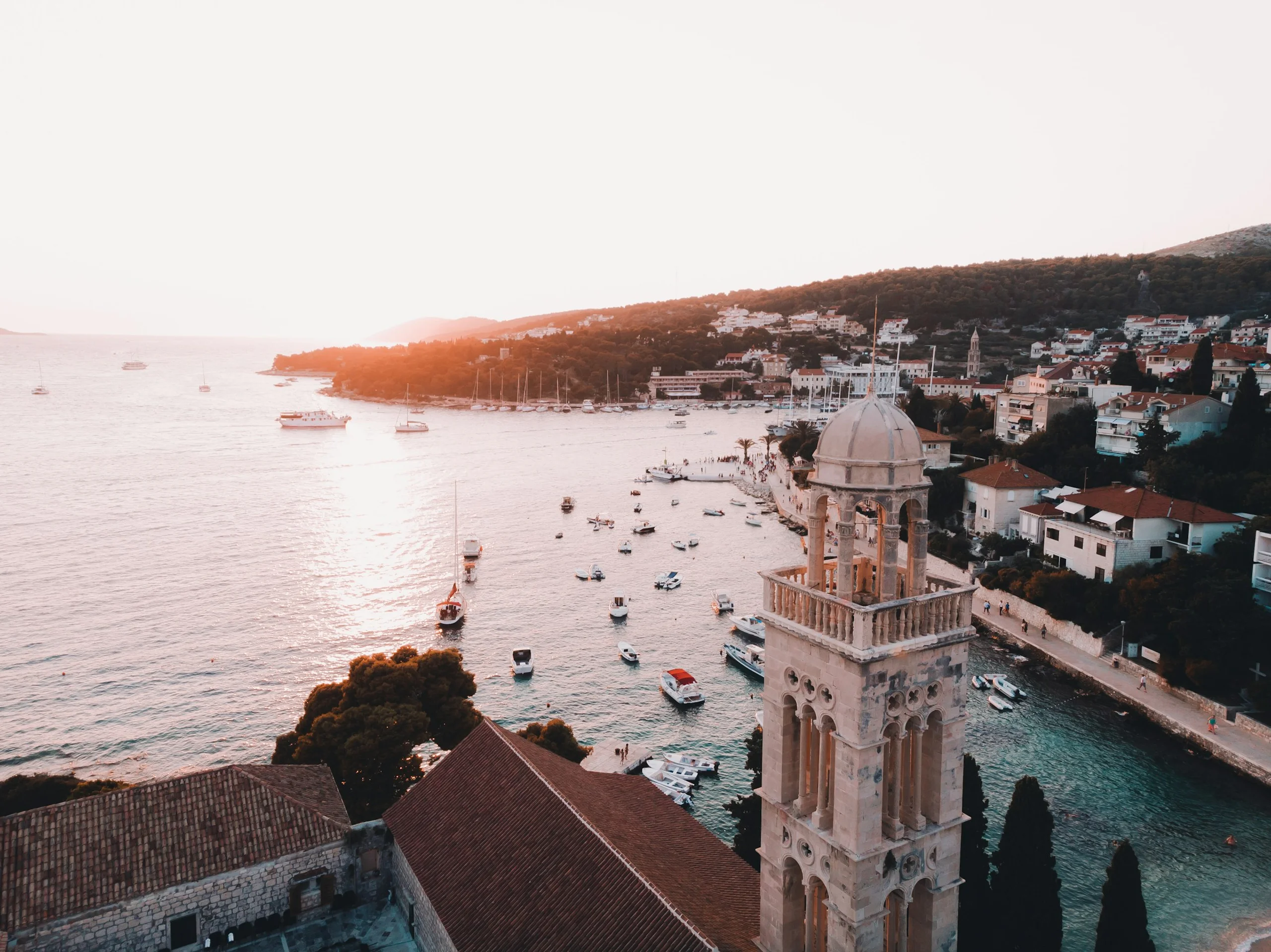 Photo by Cody Black on Unsplash