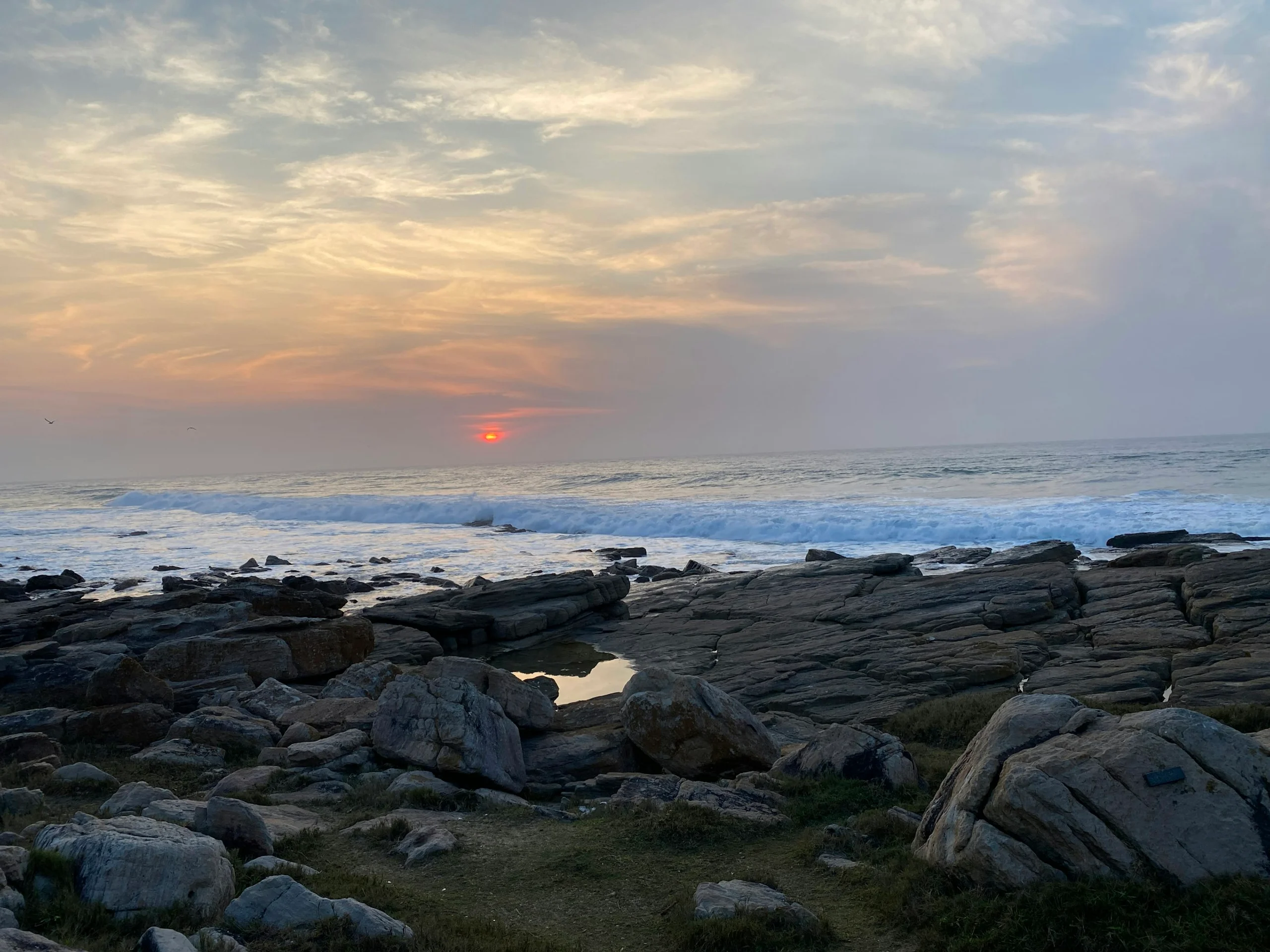 Photo by Derek Crosson on Unsplash