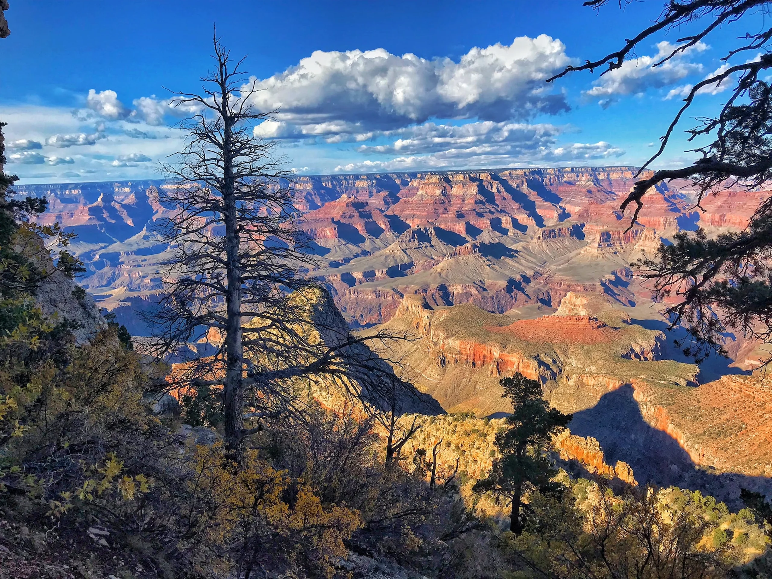 Grand Canyon South Rim during a partly cloudy afternoon