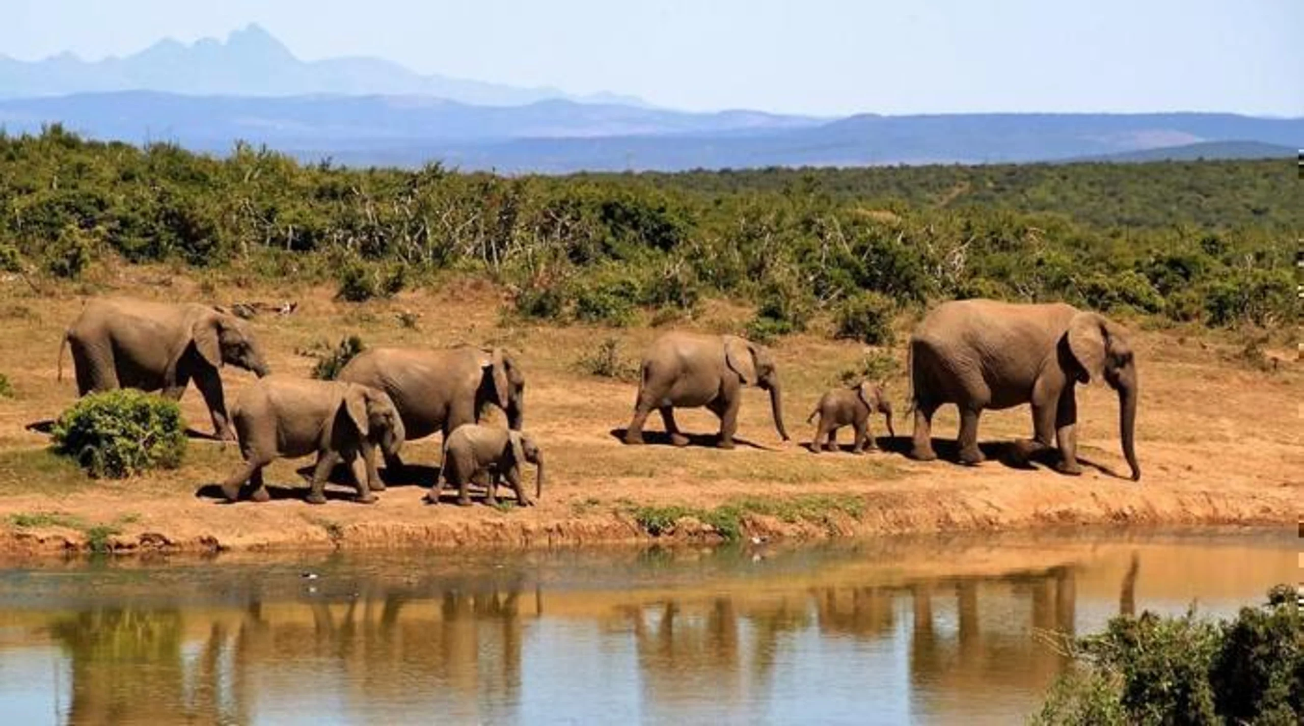 Malindi Beach & Tsavo Bush in Africa / Kenya, image_1
