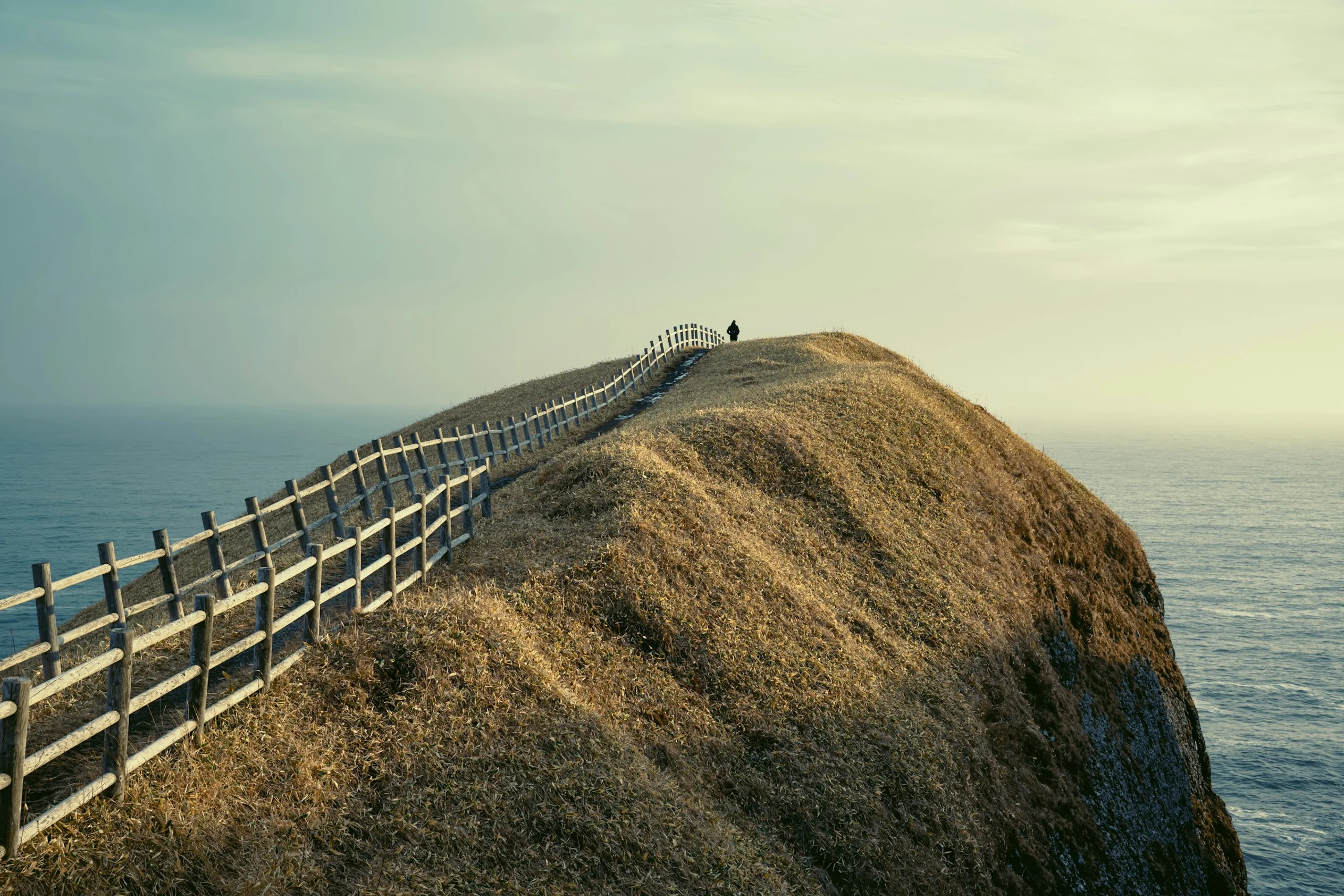 Photo by pen_ash on Unsplash