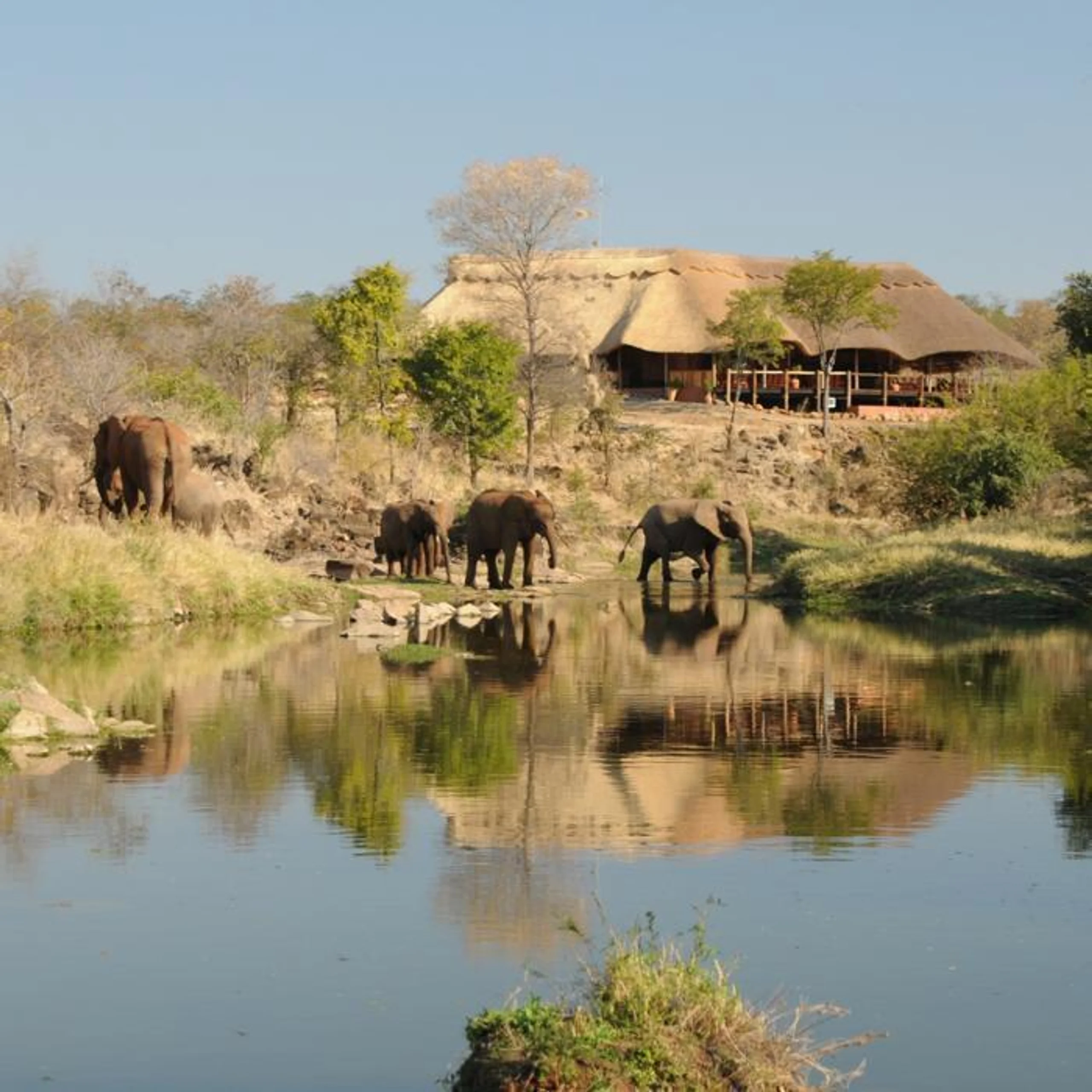  The Wallow Lodge in Africa / Zimbabwe, image_1