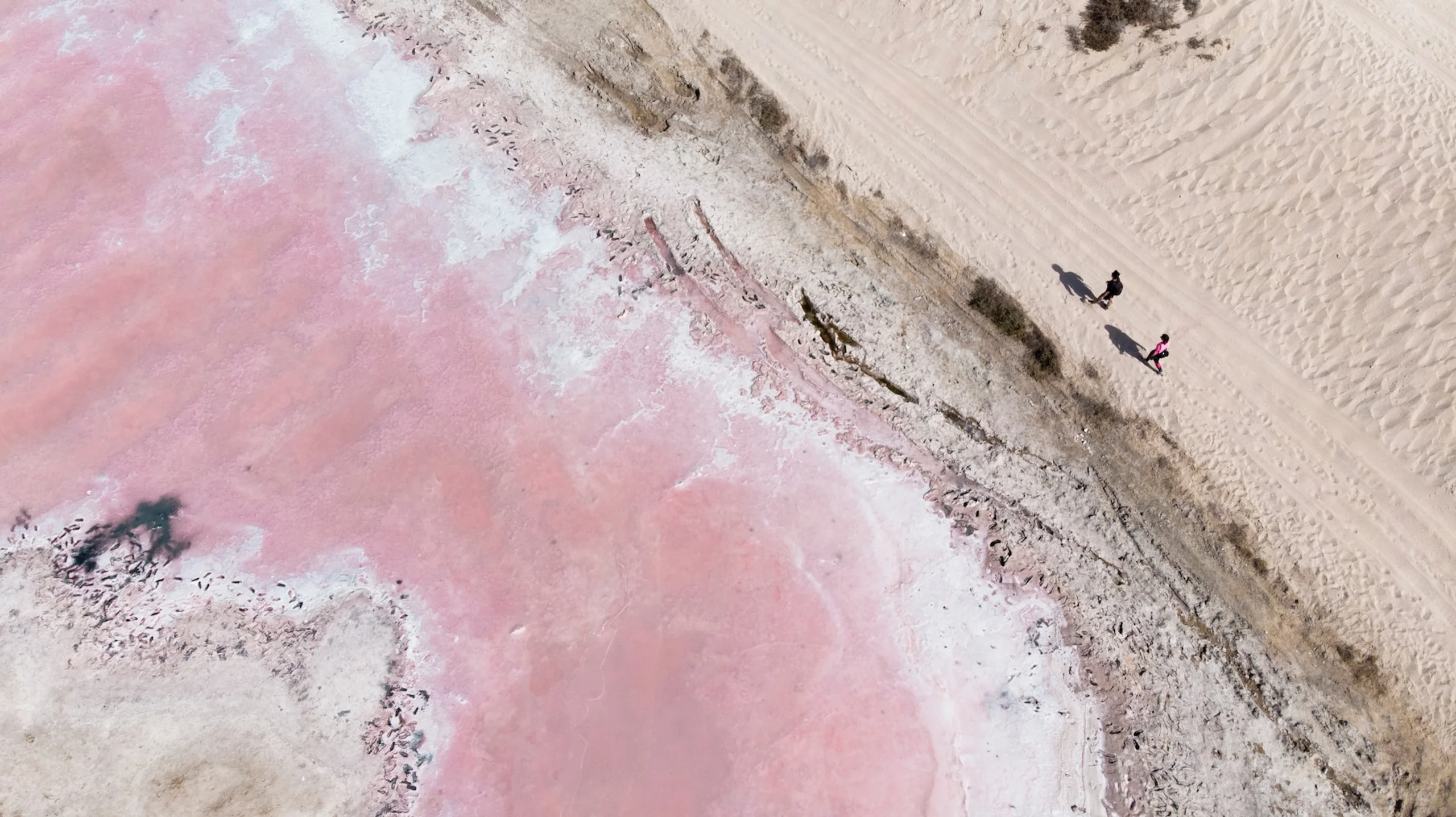 Aerial image of pink lake in Ras Al Kaimah and two people working on the shore line