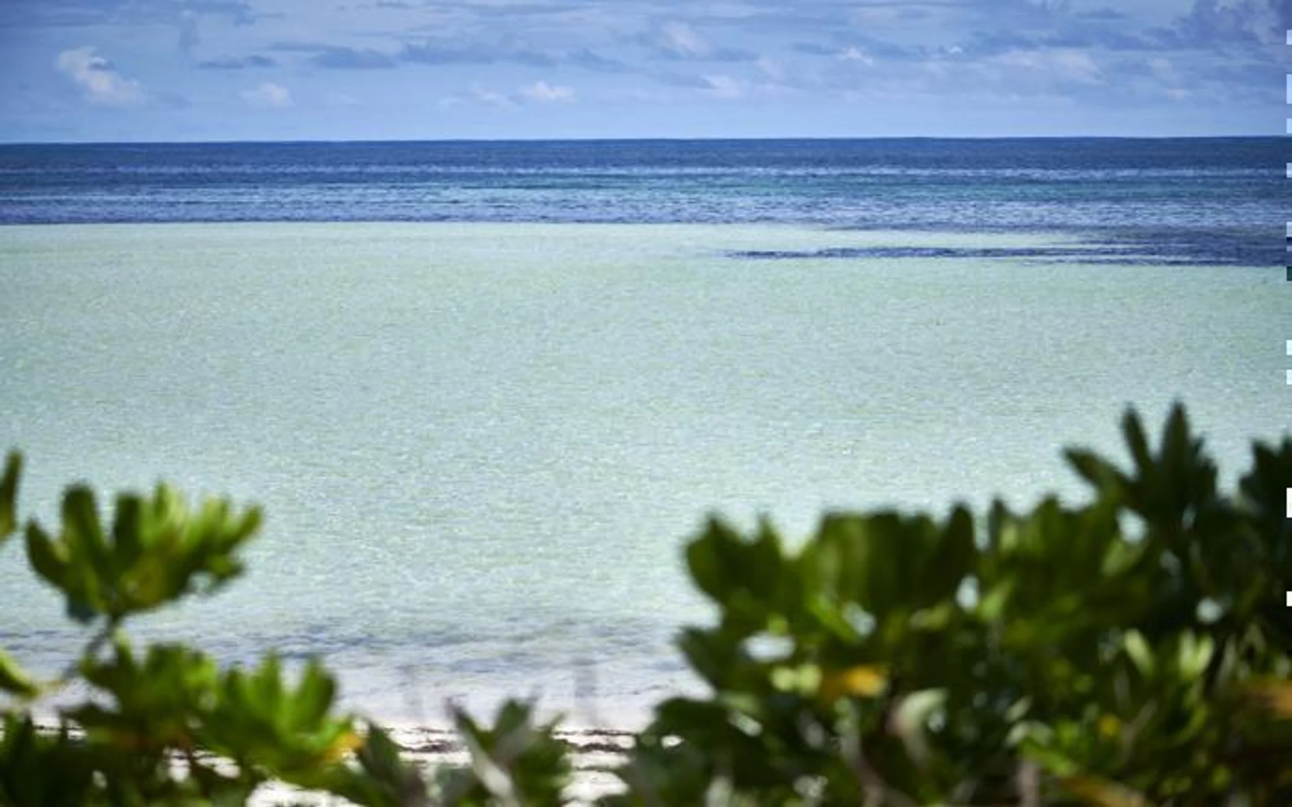  Canopy by Hilton Seychelles in IOI / Seychelles, image_3