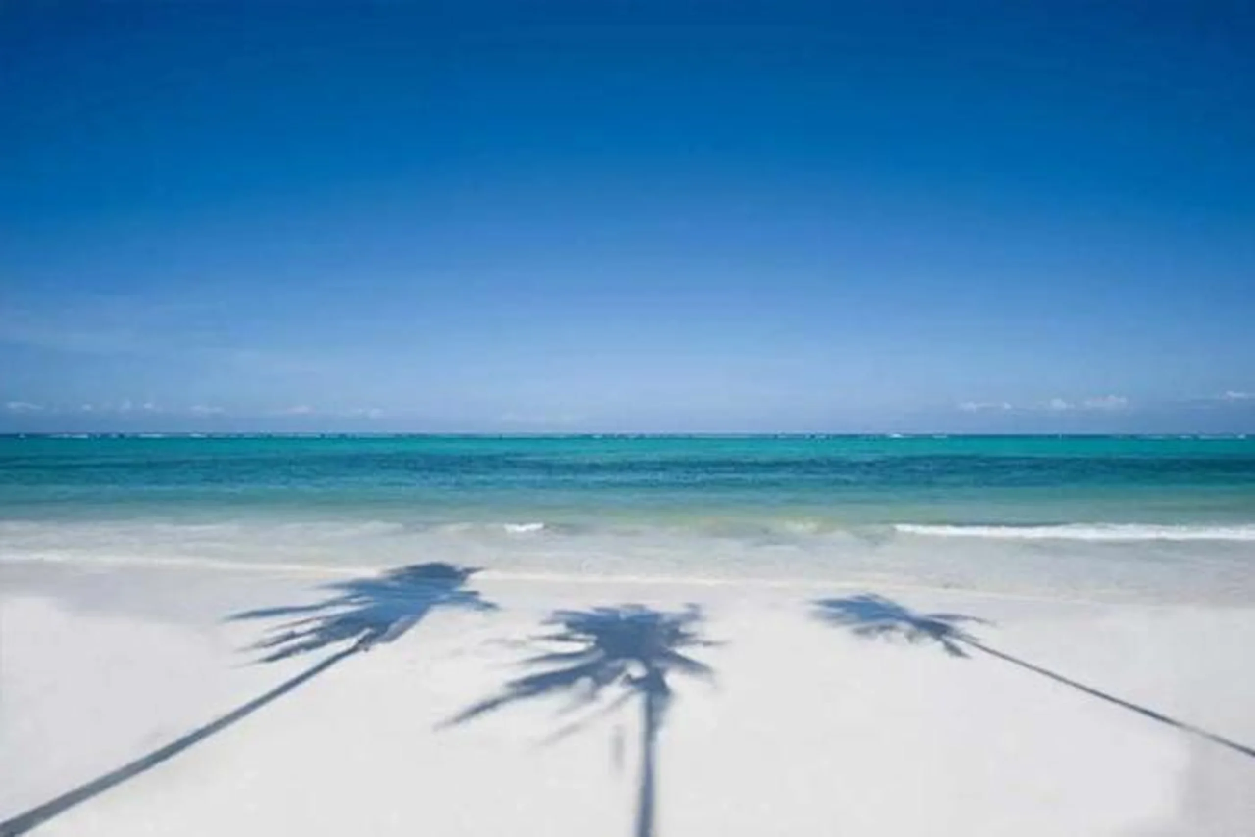  The Palms Resort (Adults only) in IOI / Zanzibar, image_2