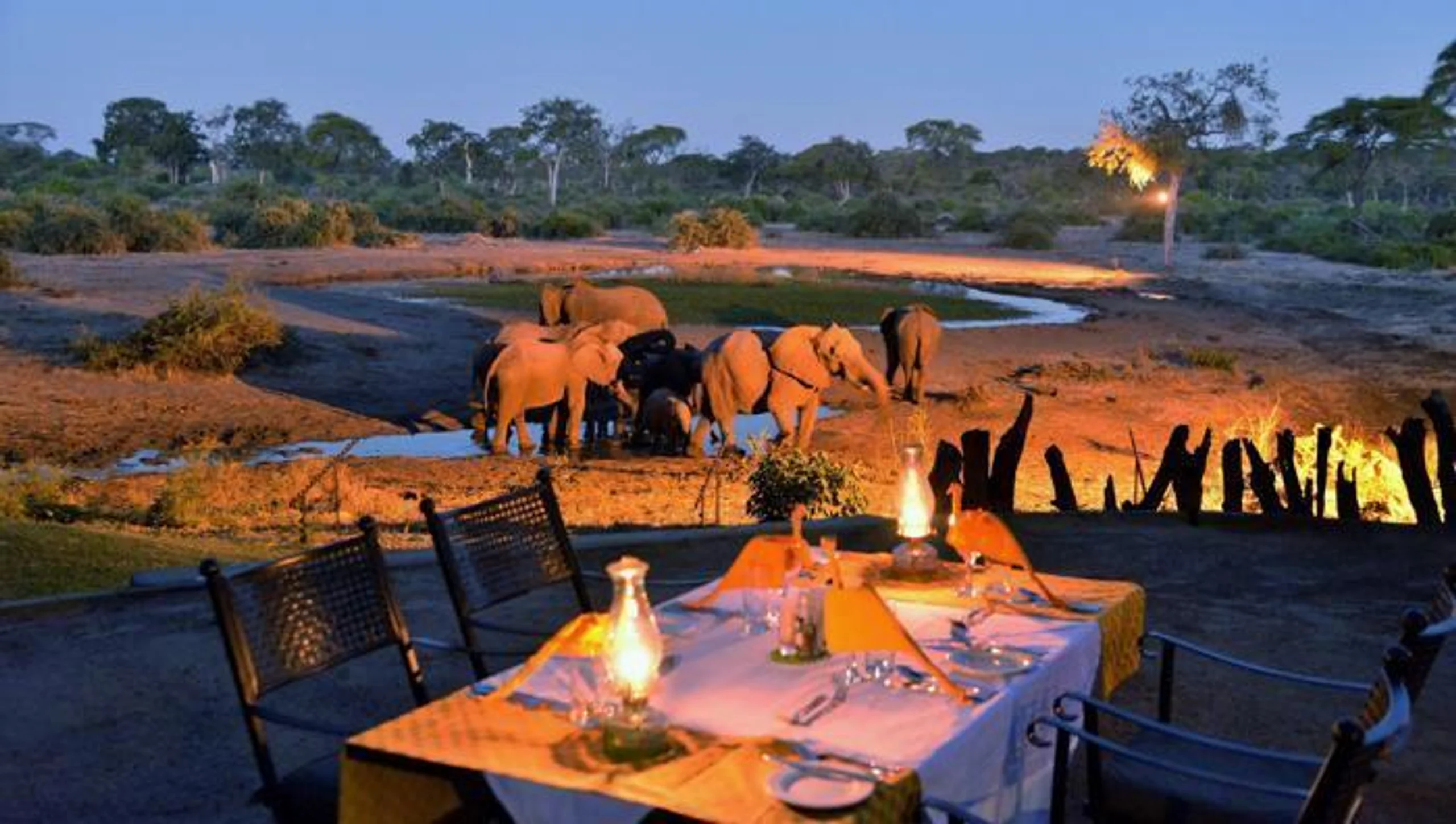 Elephant Valley Lodge in Africa / Botswana, image_1