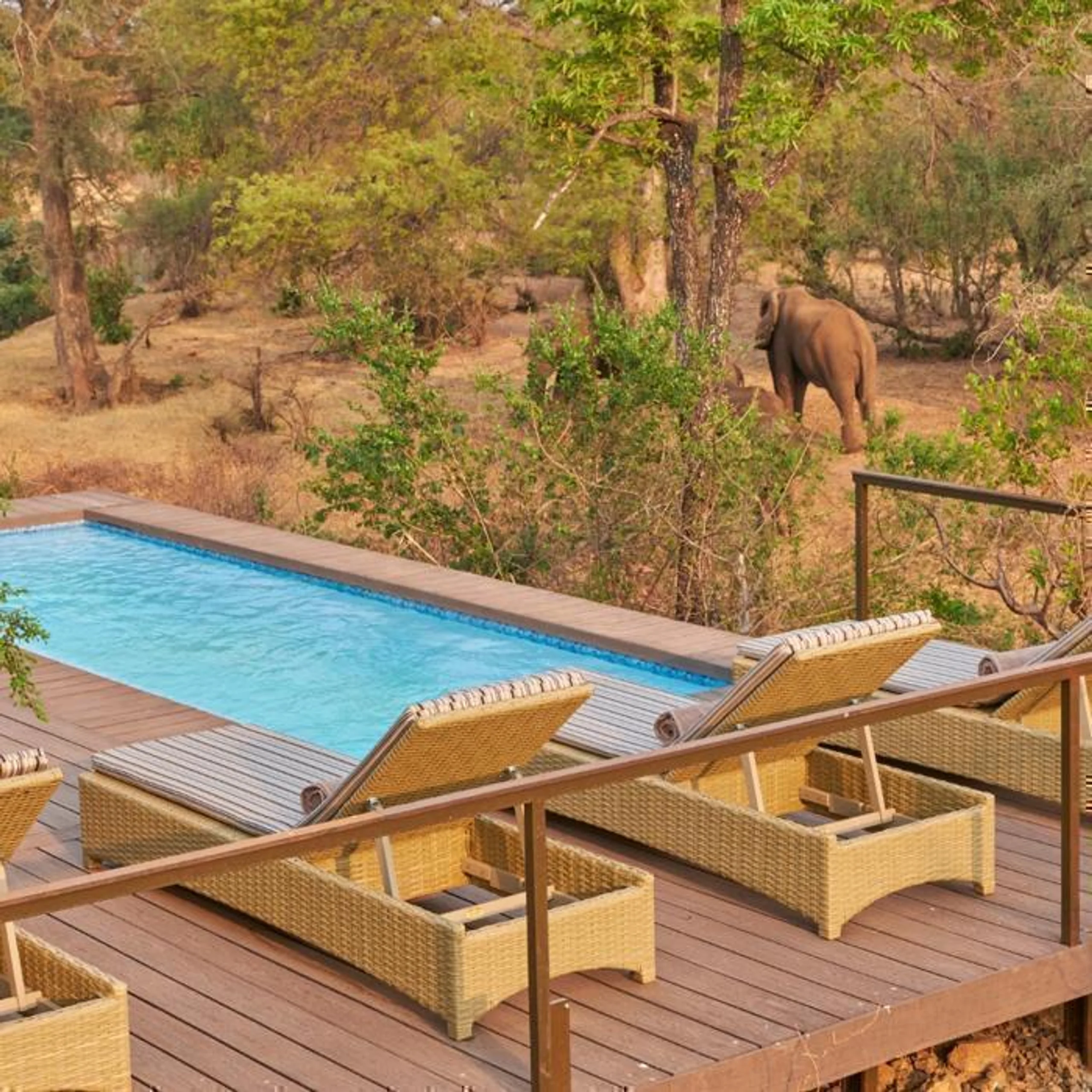  The Wallow Lodge in Africa / Zimbabwe, image_2