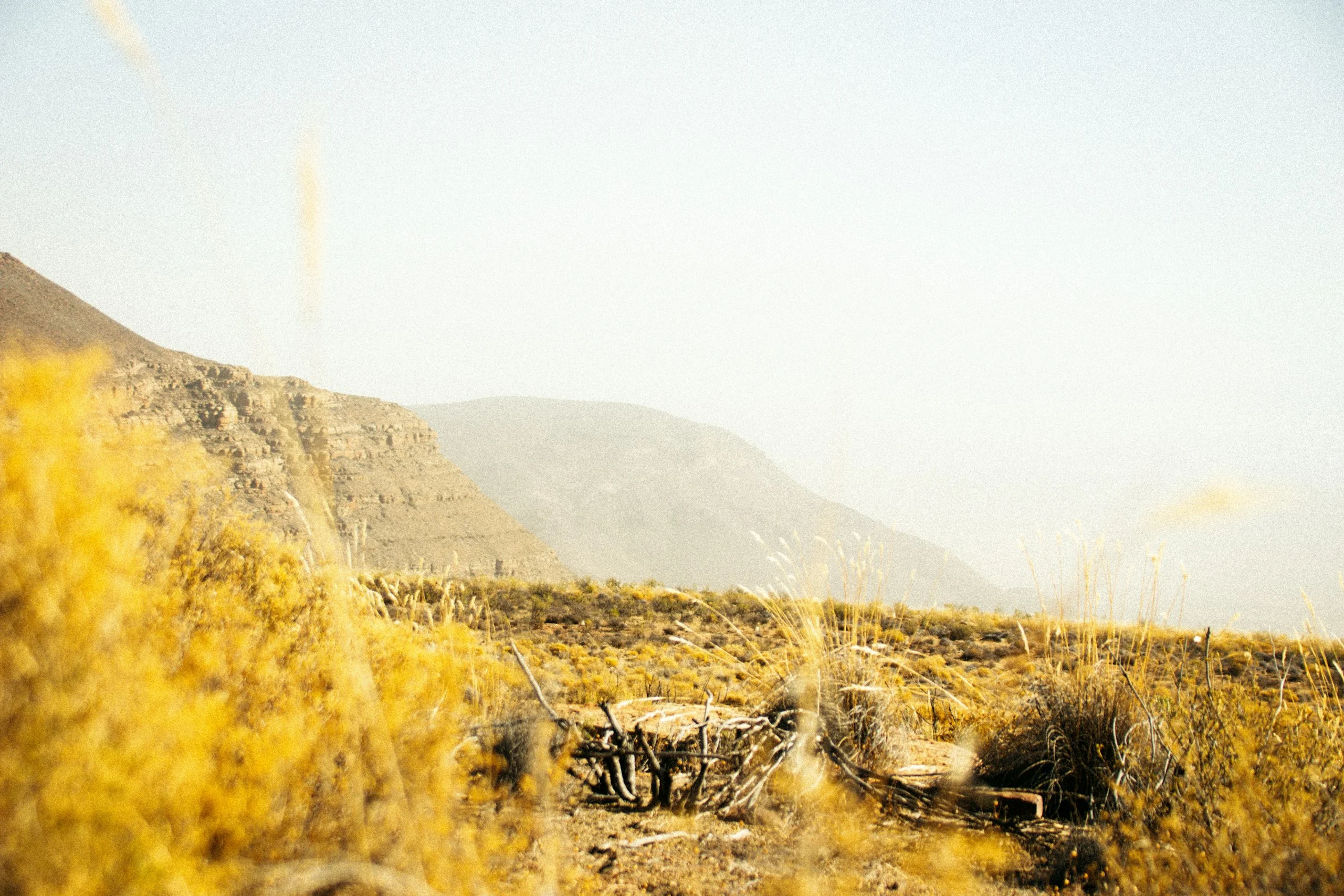 Photo by Mzimasi Ndzombane on Unsplash