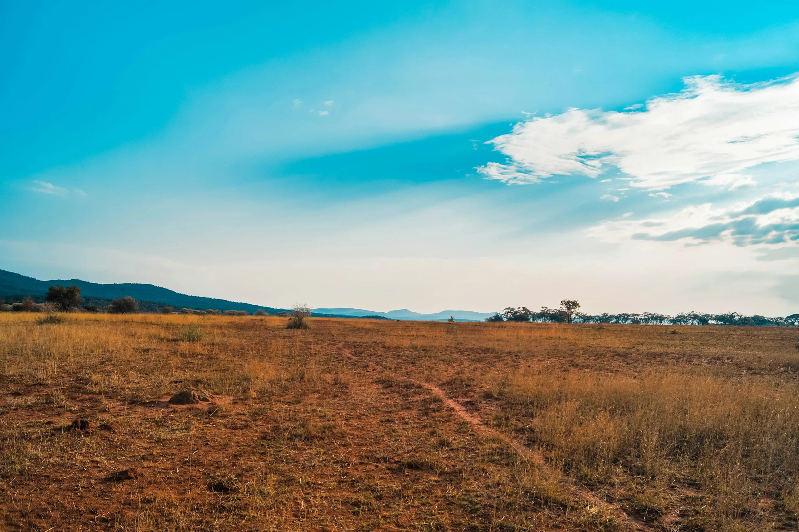 Photo by Jura Bakx on Unsplash