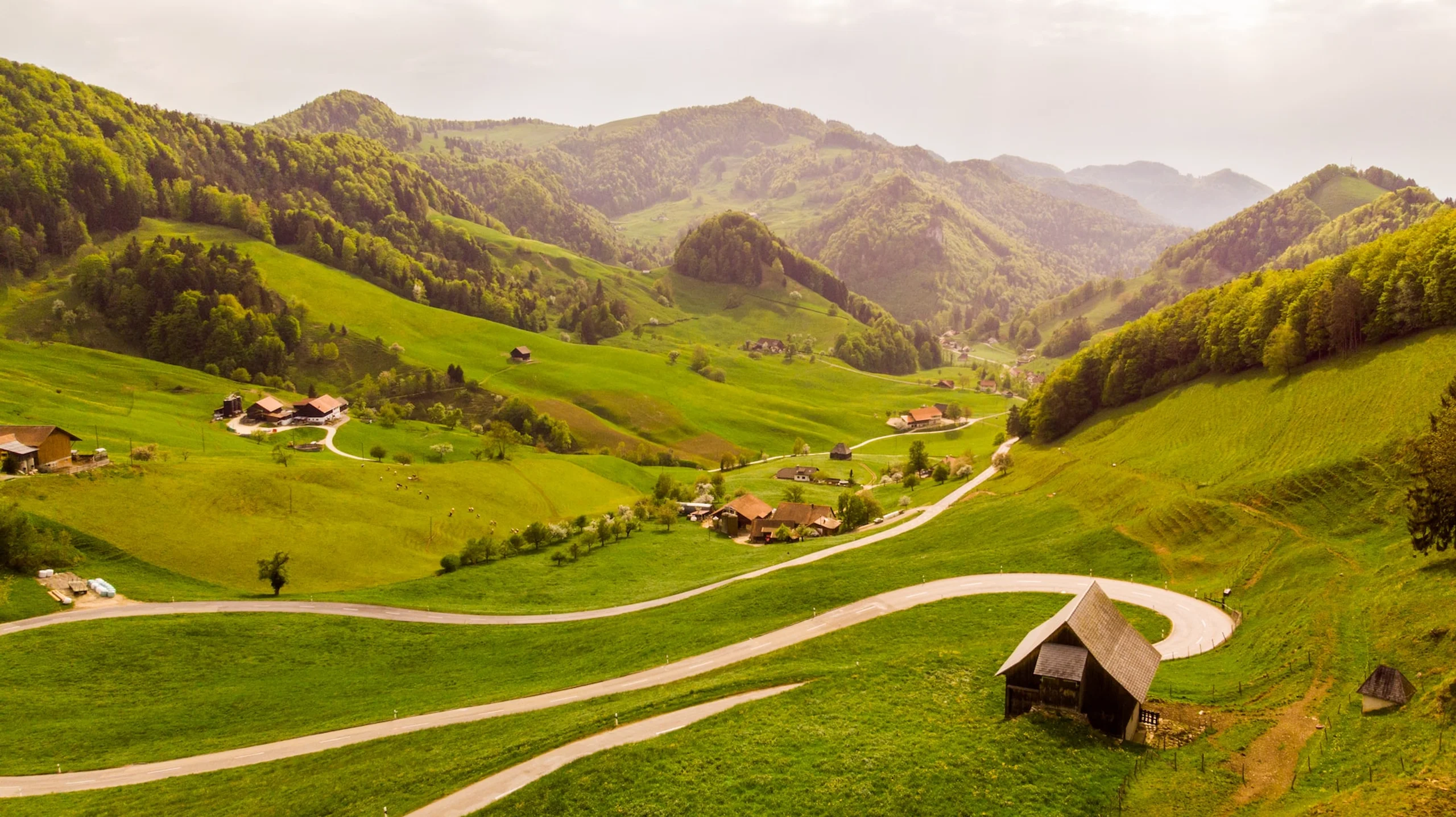 Green valley with narrow winding road and wooden houses