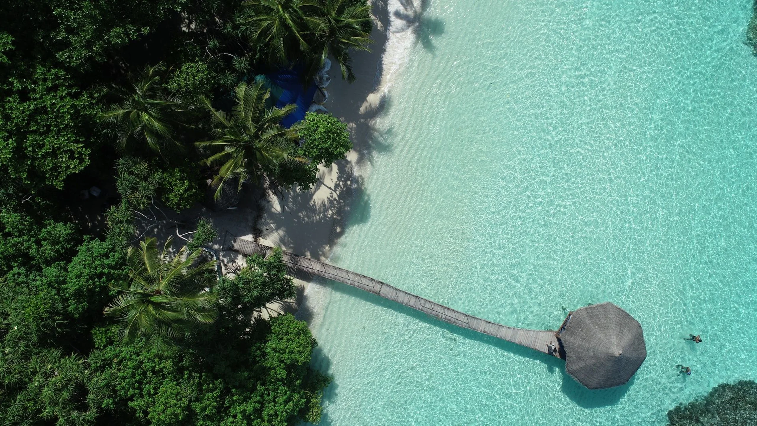ittemaldiviano-dgMjua-ix7M-unsplash.jpg