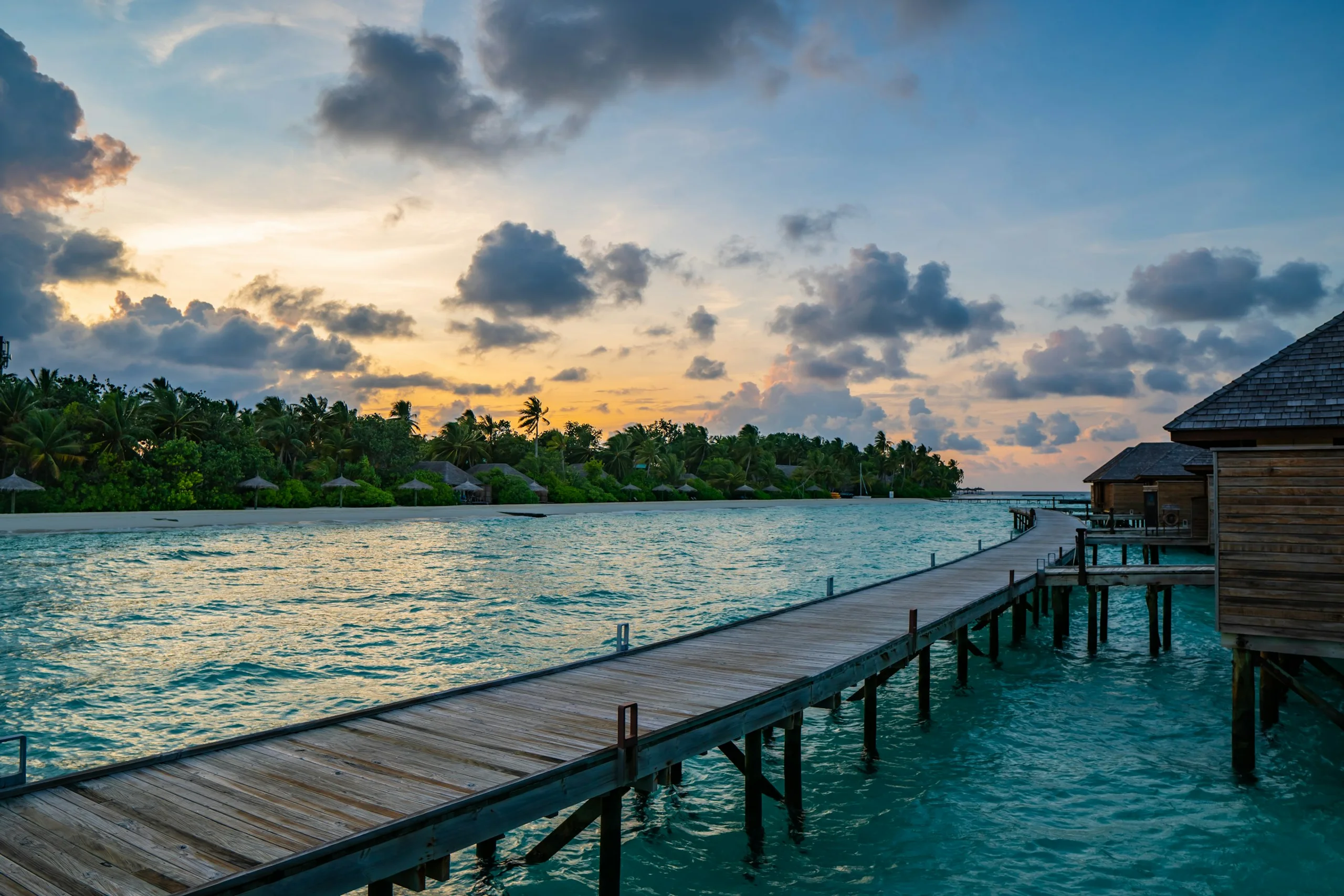 Photo by Shai Pal on Unsplash