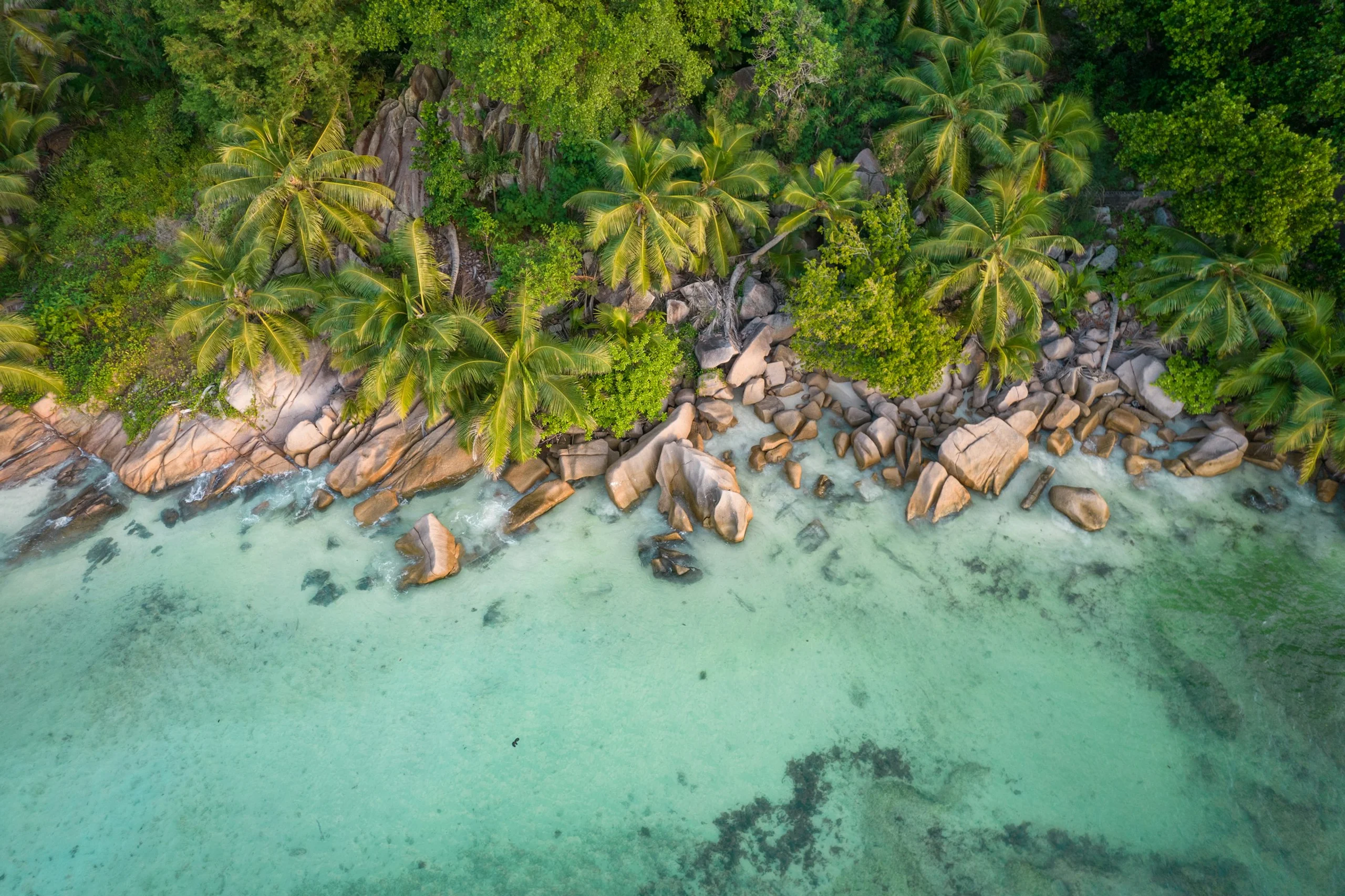 Photo by Paweł Wielądek on Unsplash