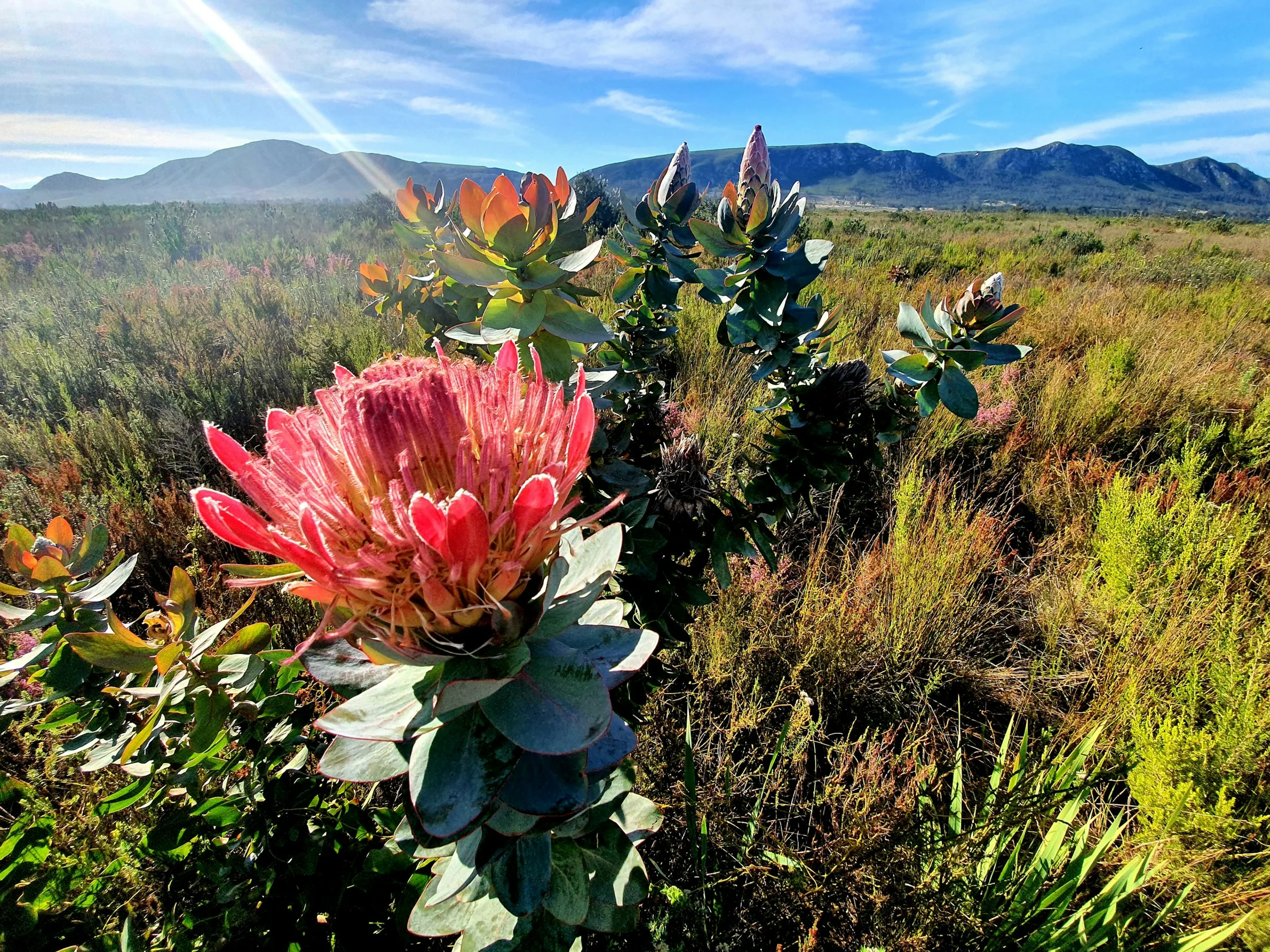 Photo by Gregory Fullard on Unsplash