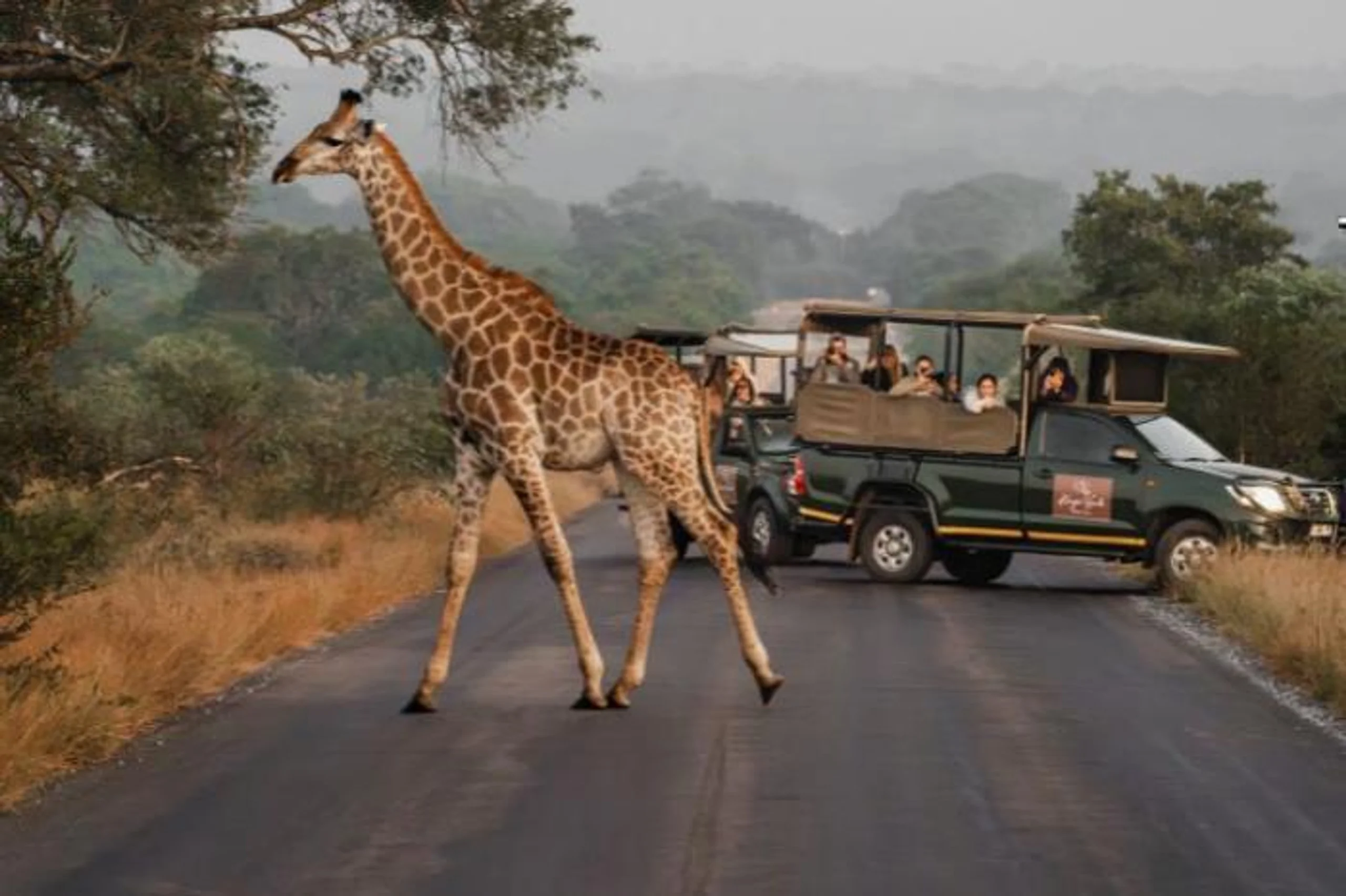  Kruger Gate Hotel in South Africa / Kruger National Park, image_1