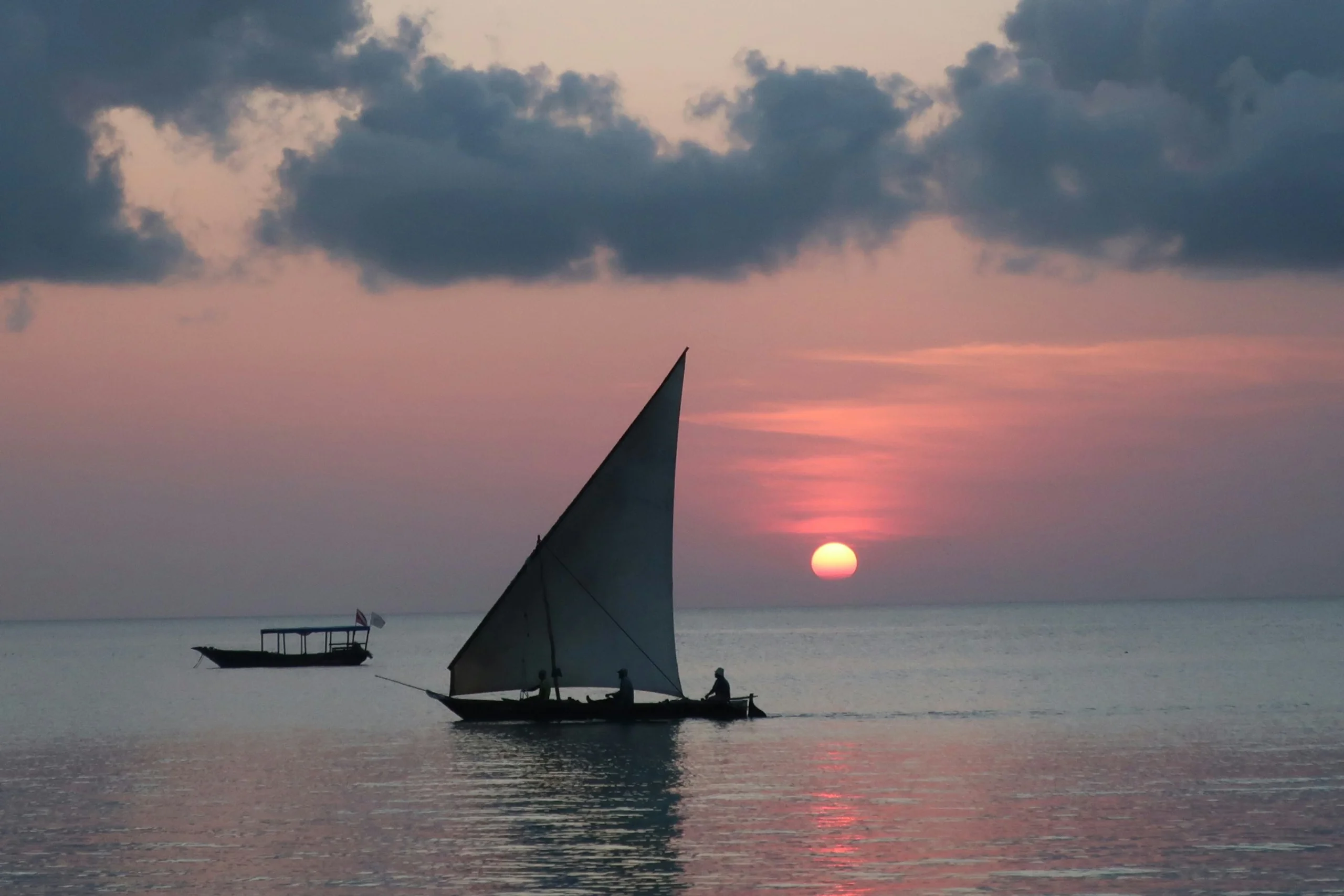 Photo by Camilla Frederiksen on Unsplash
