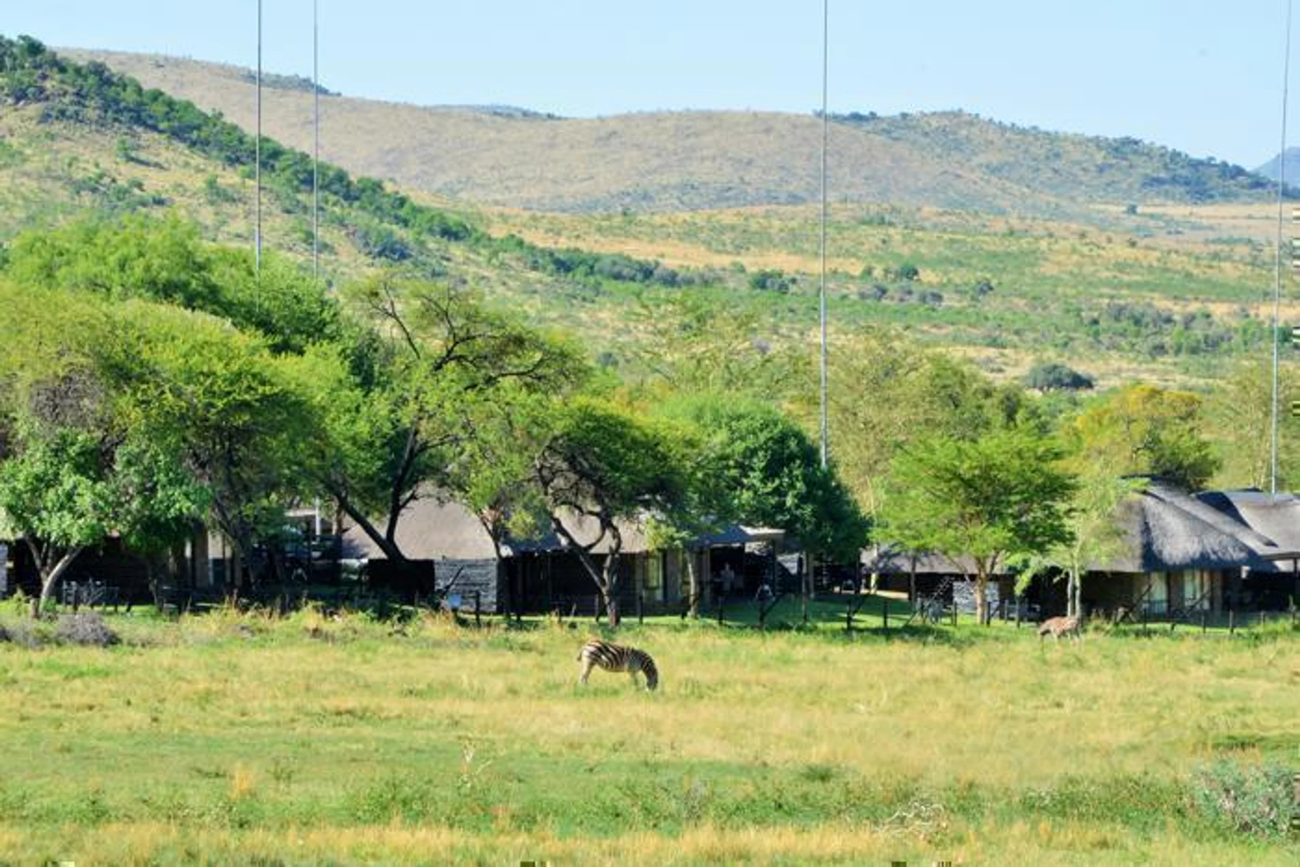  Bakubung Bush Lodge in South Africa / North West, image_3
